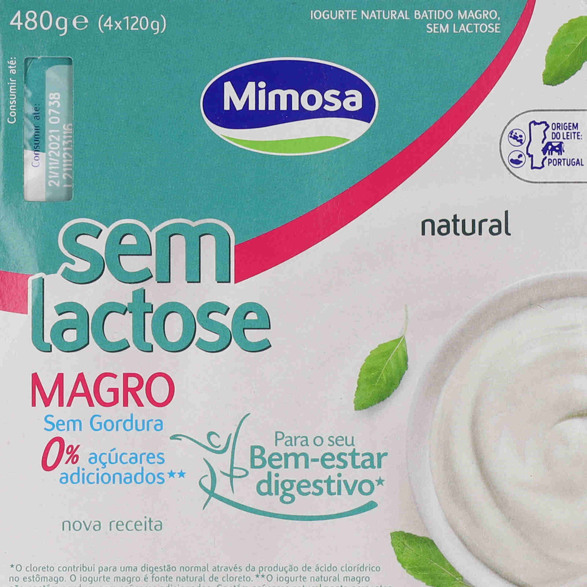 Iogurte Magro Natural sem Lactose