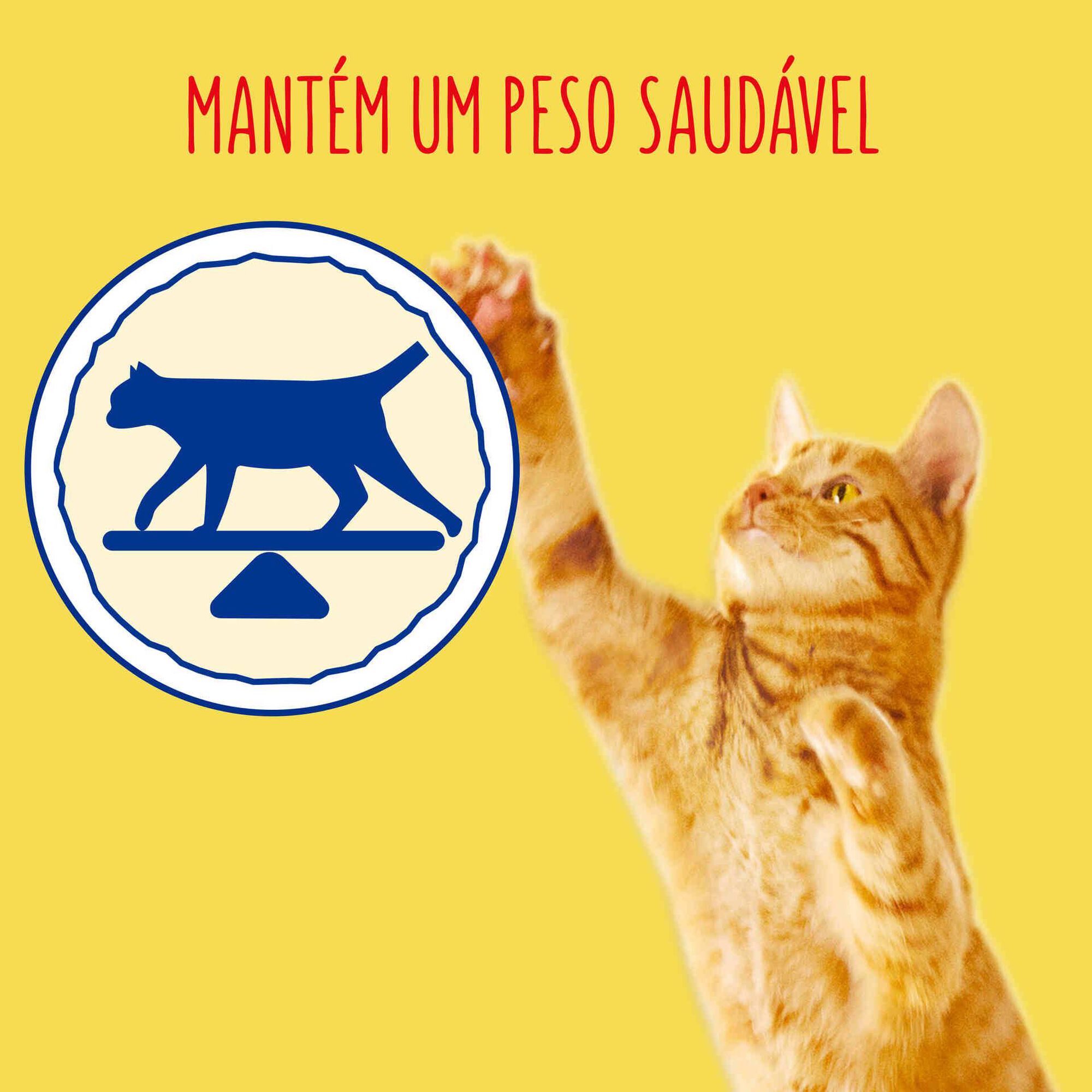 Ra&ccedil;&atilde;o para Gato Adulto Esterilizado Peru e Legumes Purina Friskies