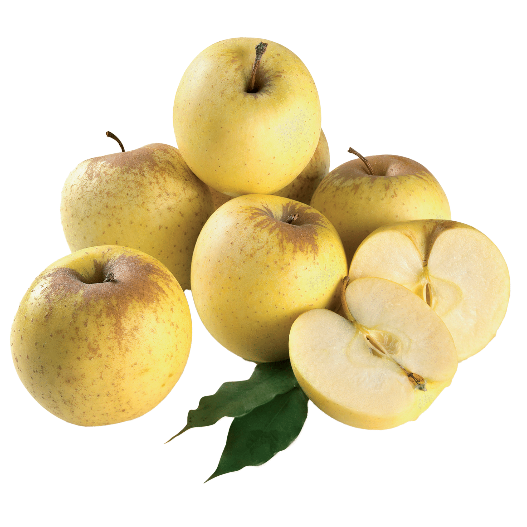 Ma&ccedil;&atilde; Golden