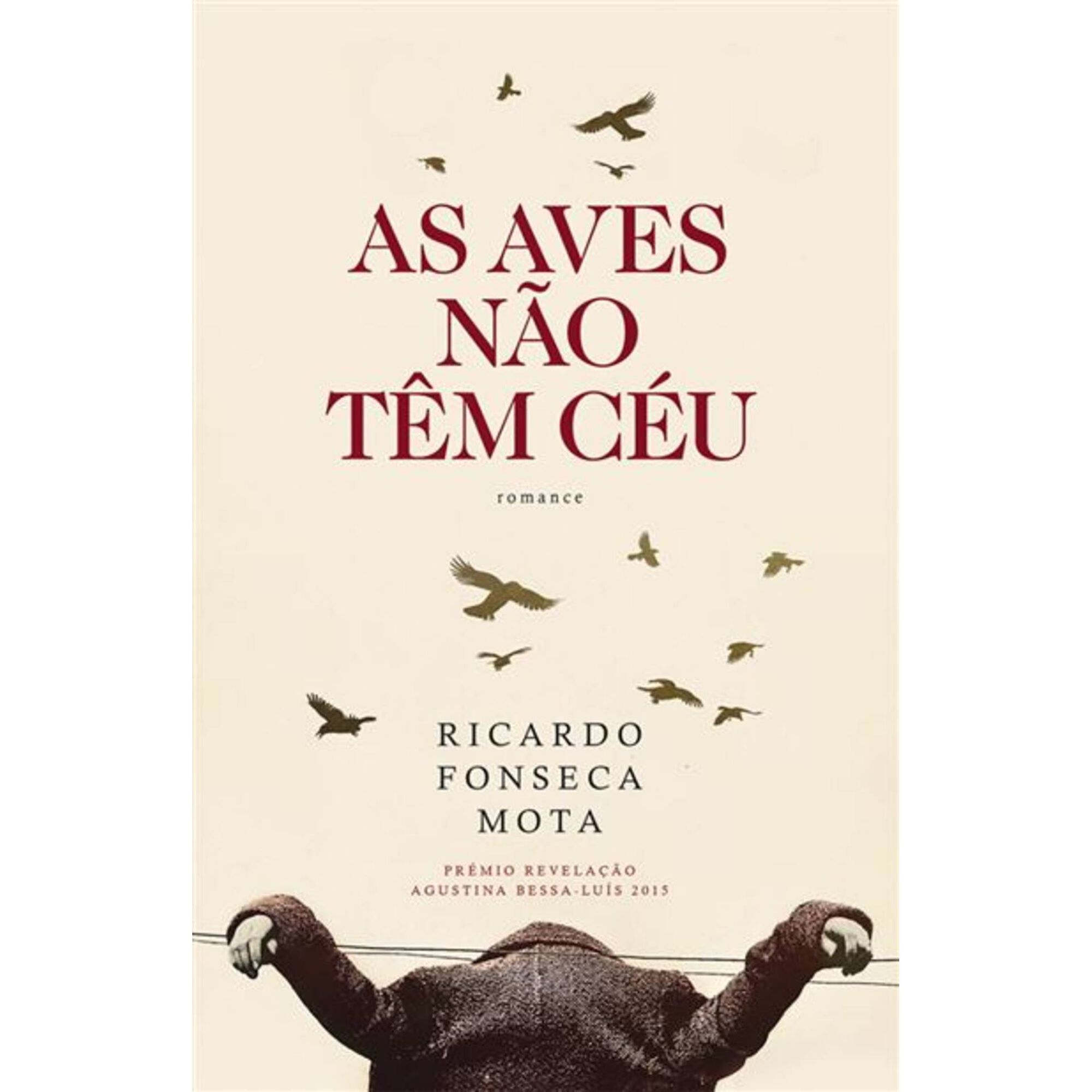 Ricardo Fonseca Mota "As aves não têm céu" Ricardo Fonseca Mota "As aves não têm céu"