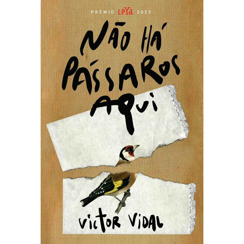 Não Há Pássaros Aqui de Victor Vidal