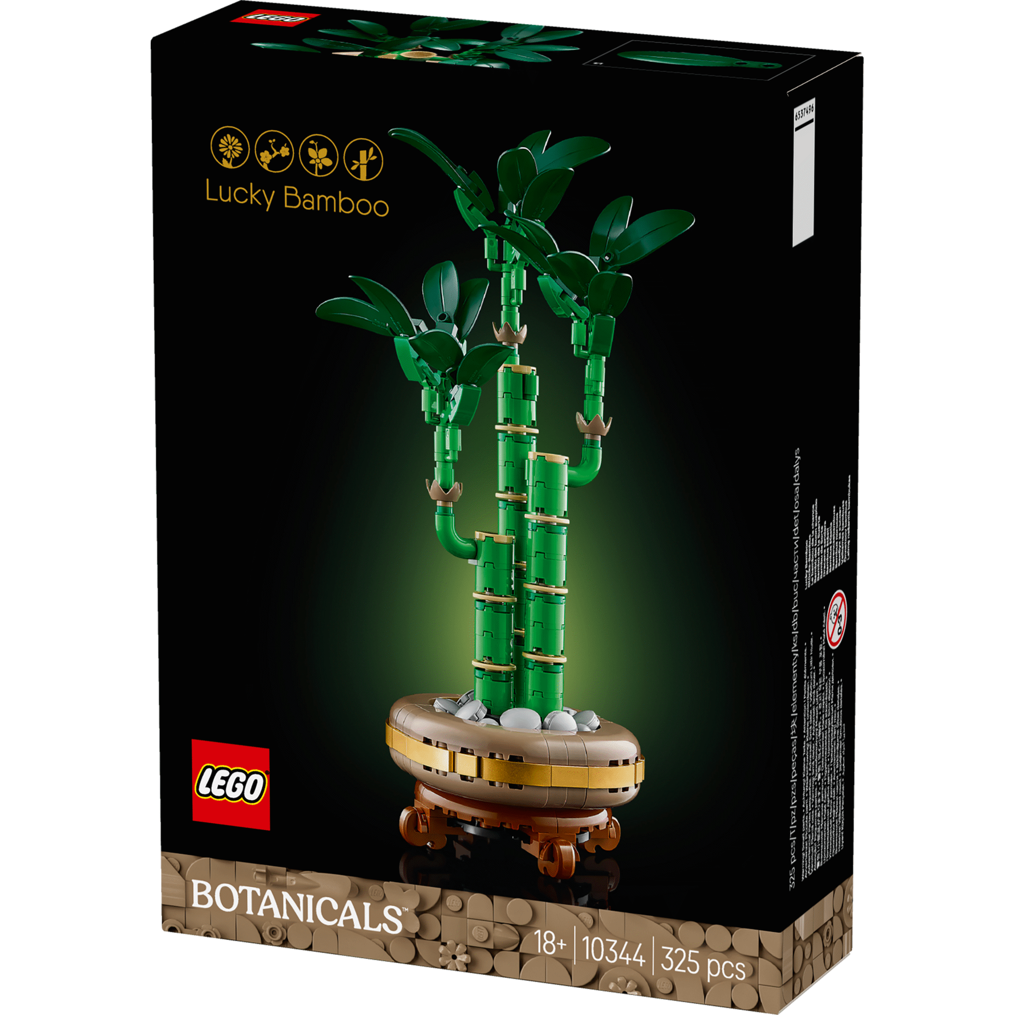 Bambu da Sorte - 10344