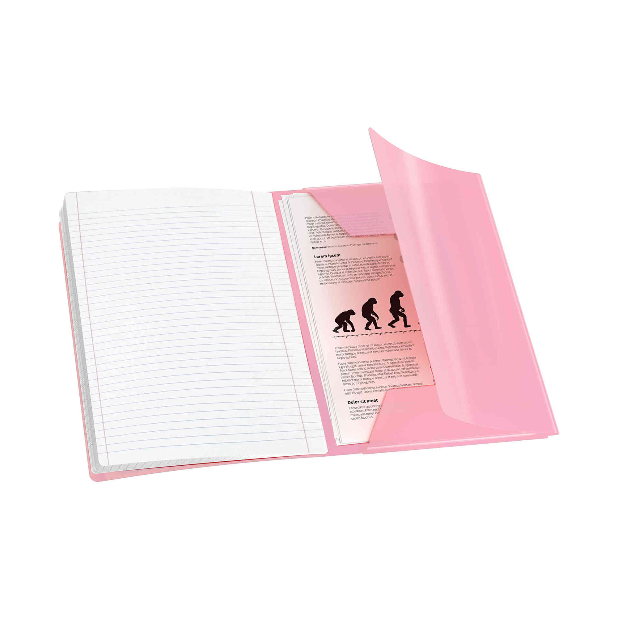 Caderno Agrafado A4 Pautado (v&aacute;rias cores) Oxford
