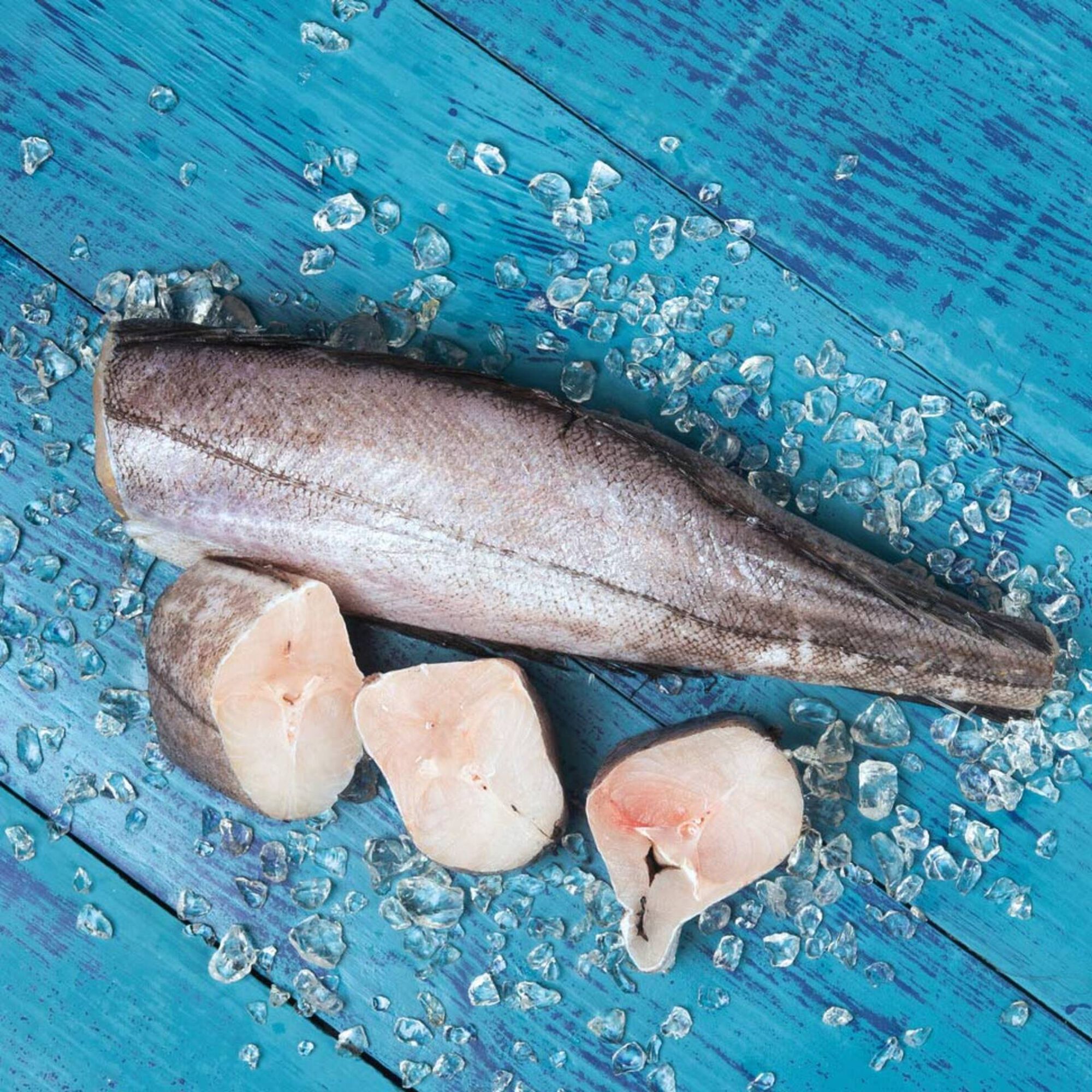 Pescada Média do Chile Congelada