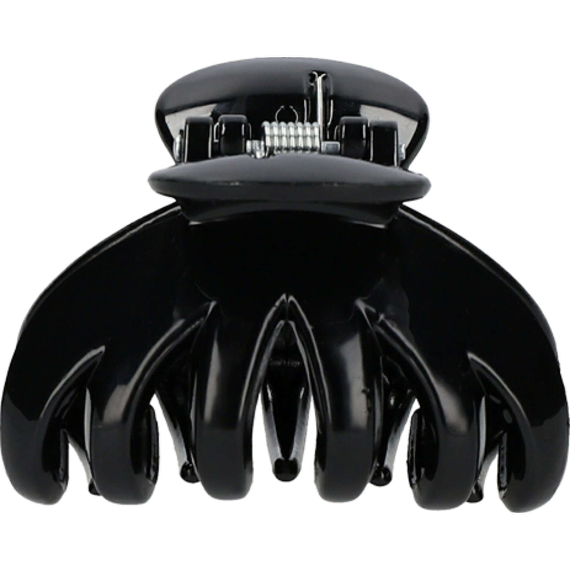 Mola Cabelo Média Mola Cabelo Média