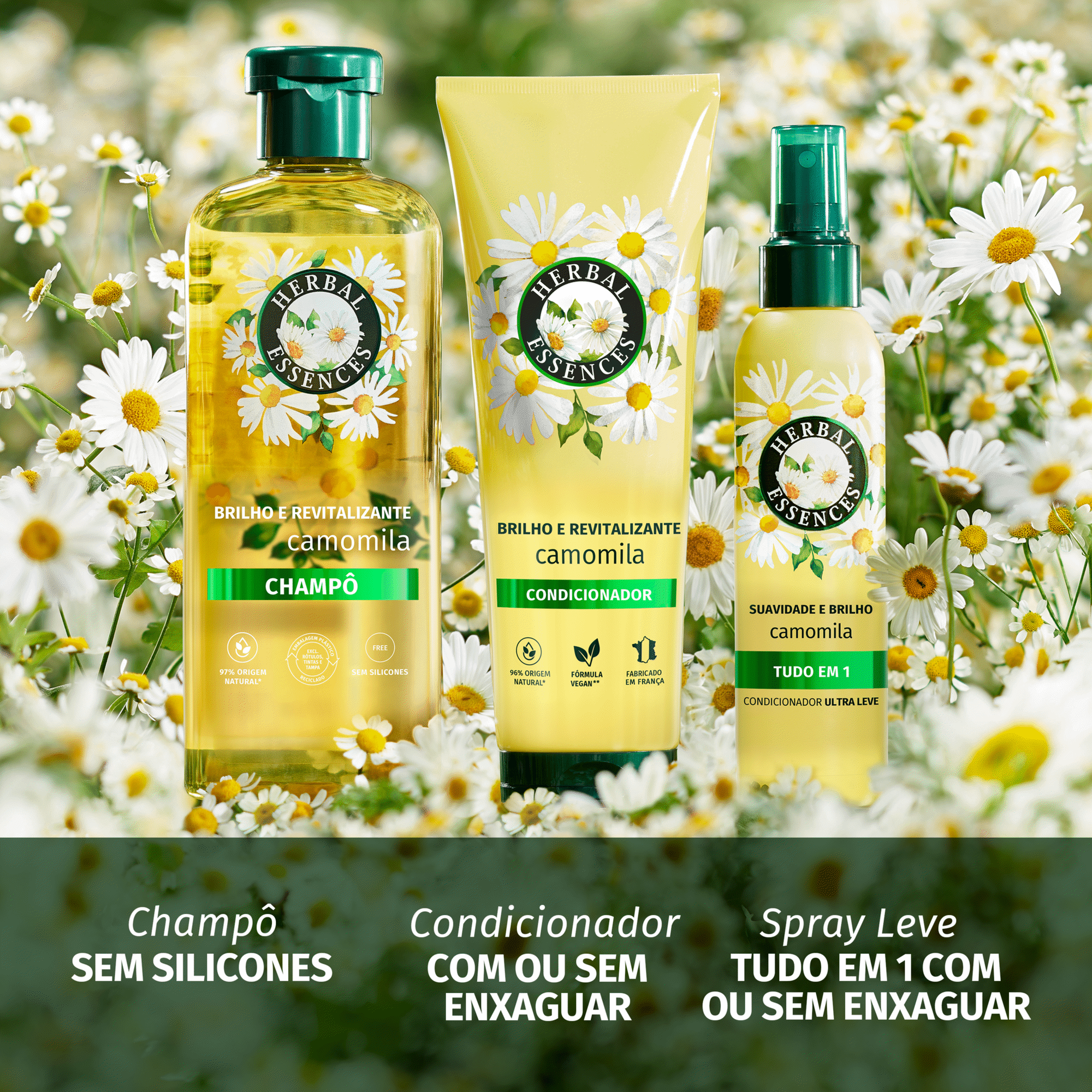 Champ&ocirc; Brilho Camomila Herbal Essences