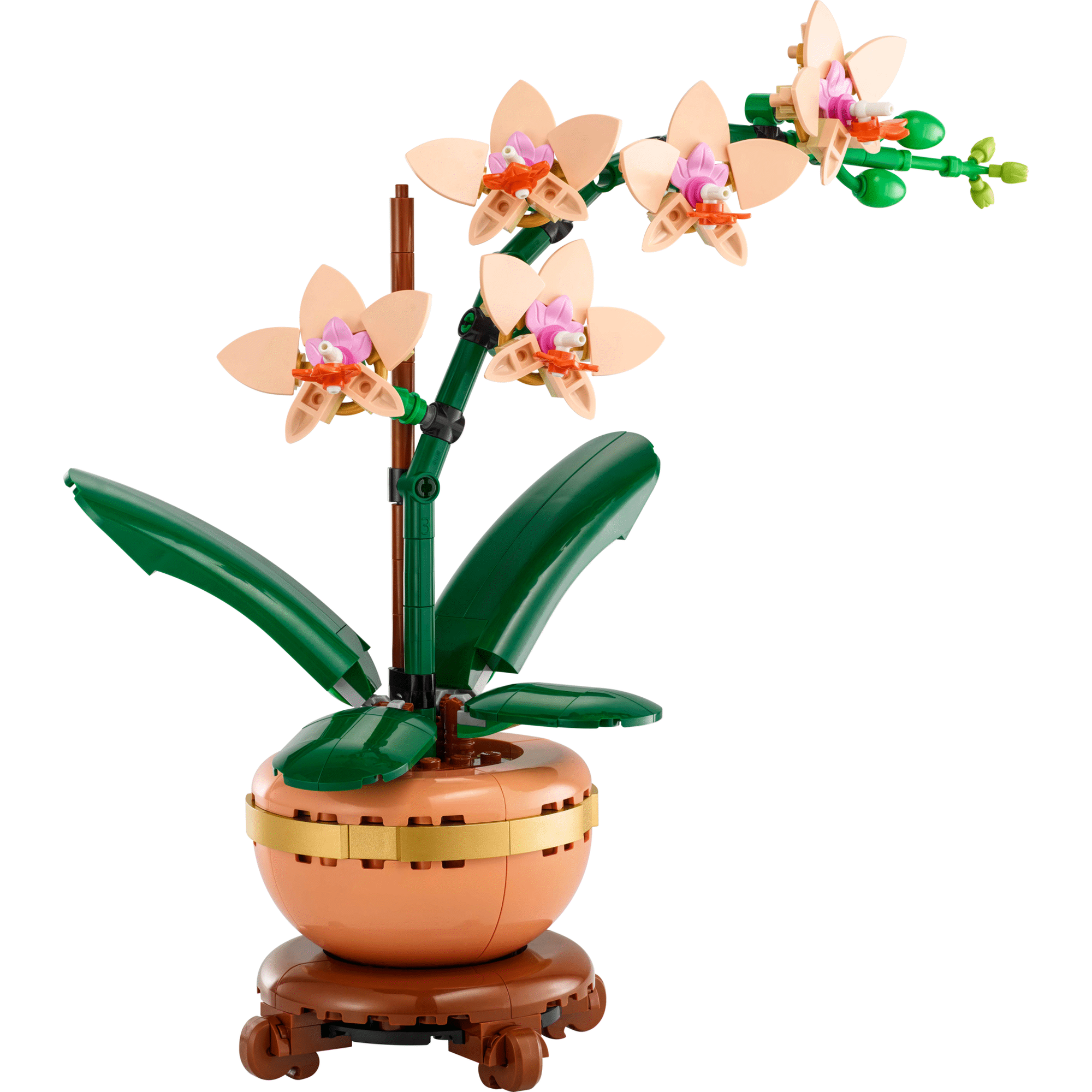 Orqu&iacute;dea em Miniatura - 10343