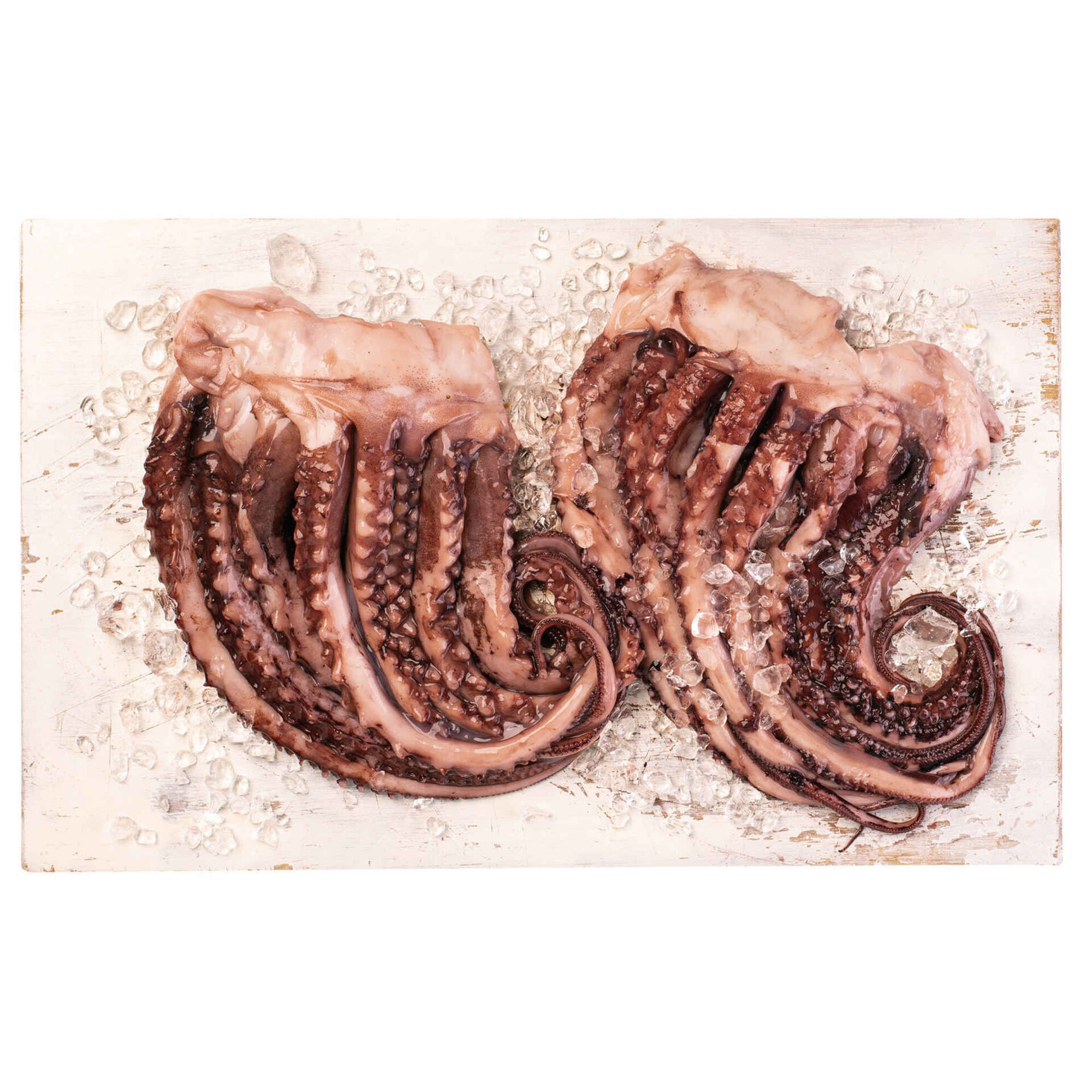 Tentáculos de Pota Grandes Congelados