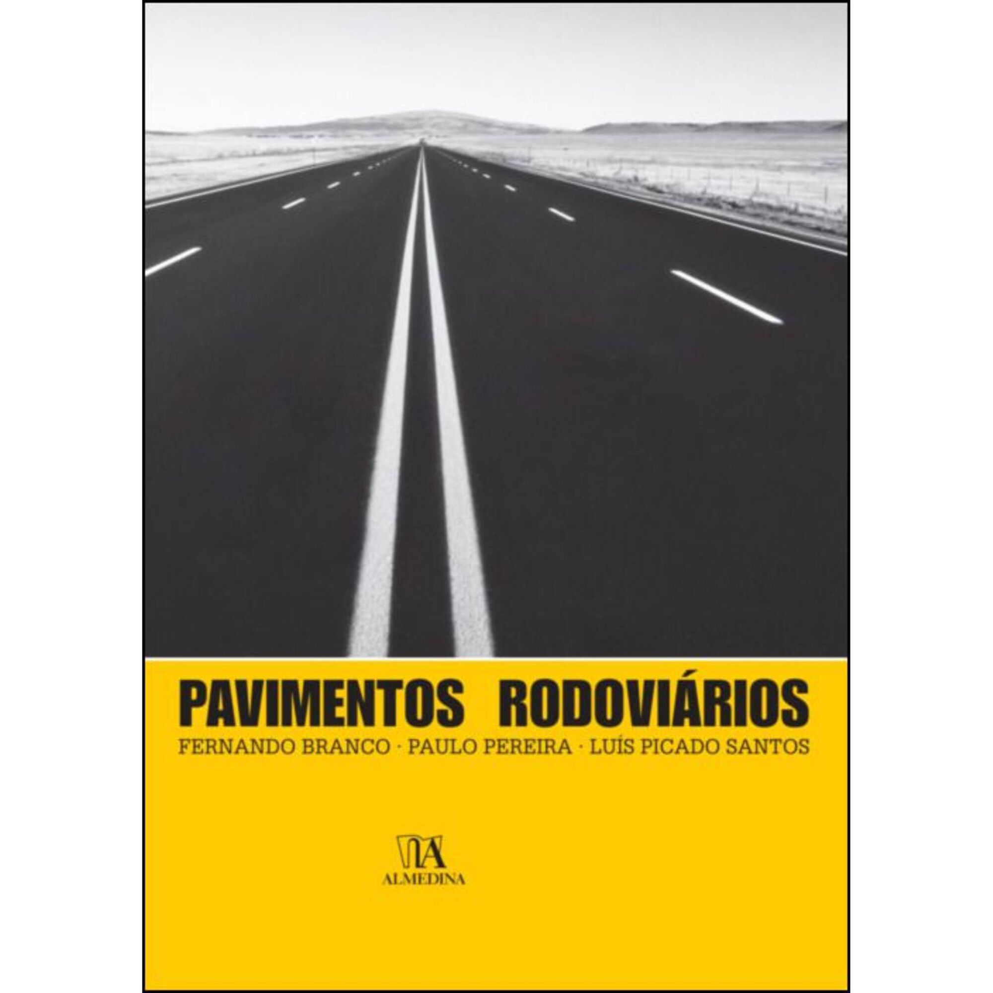 Pavimentos Rodovi&aacute;rios