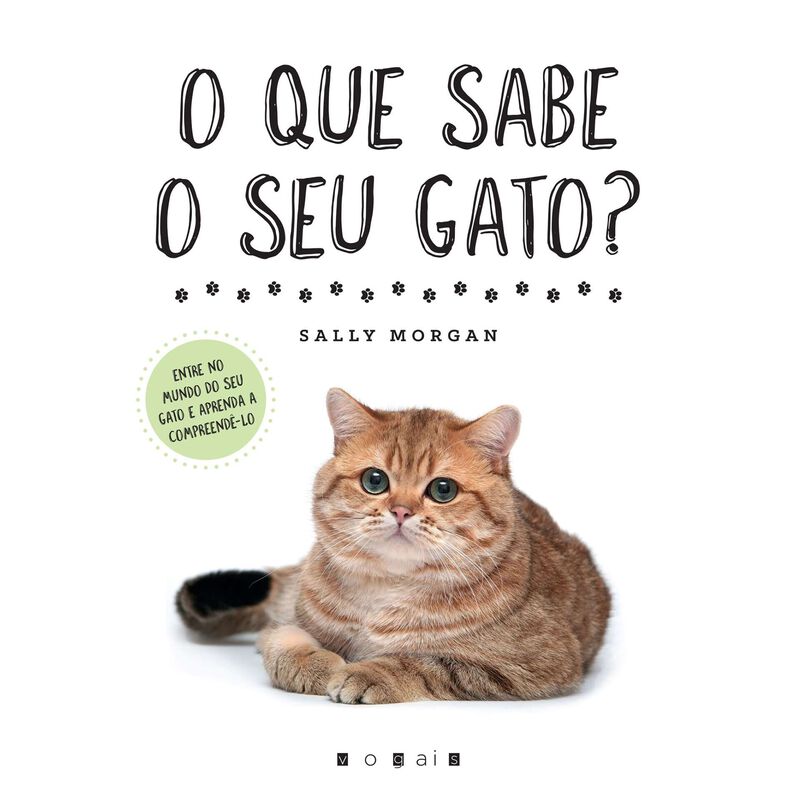 O Que Sabe o Seu Gato? de Sally Morgan