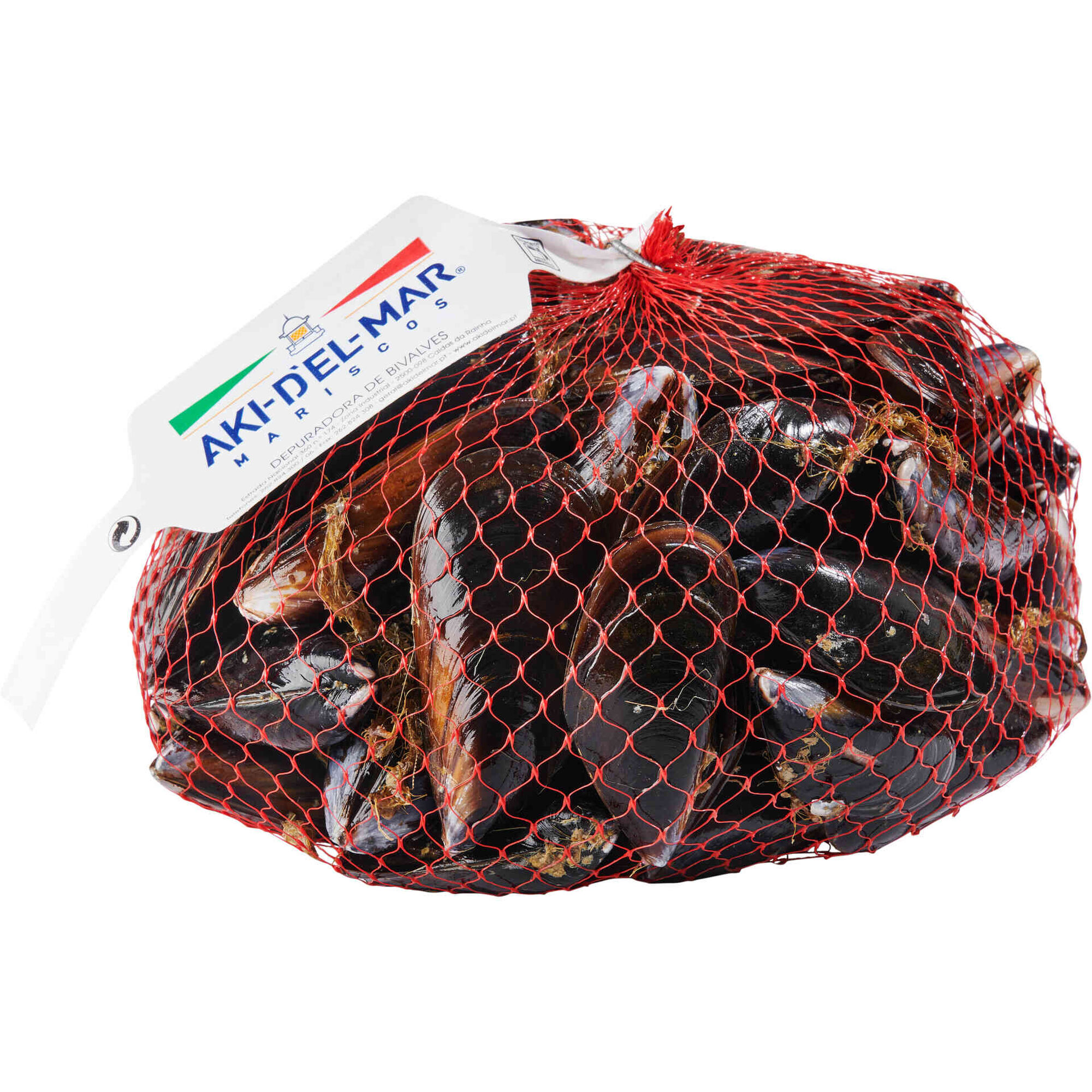 Mexilhão Fresco