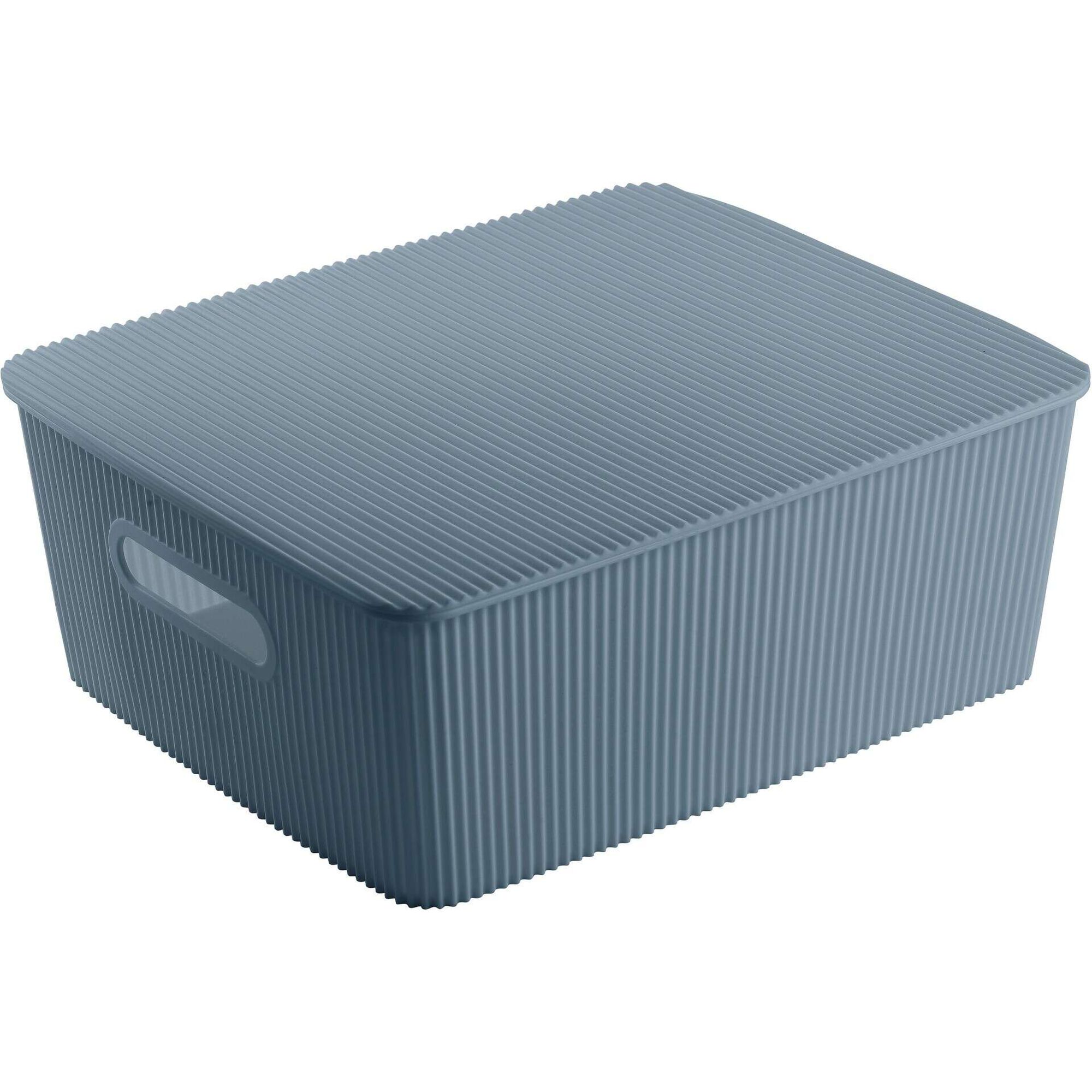 Caixa Arruma&ccedil;&atilde;o com Tampa Azul 4L Kasa