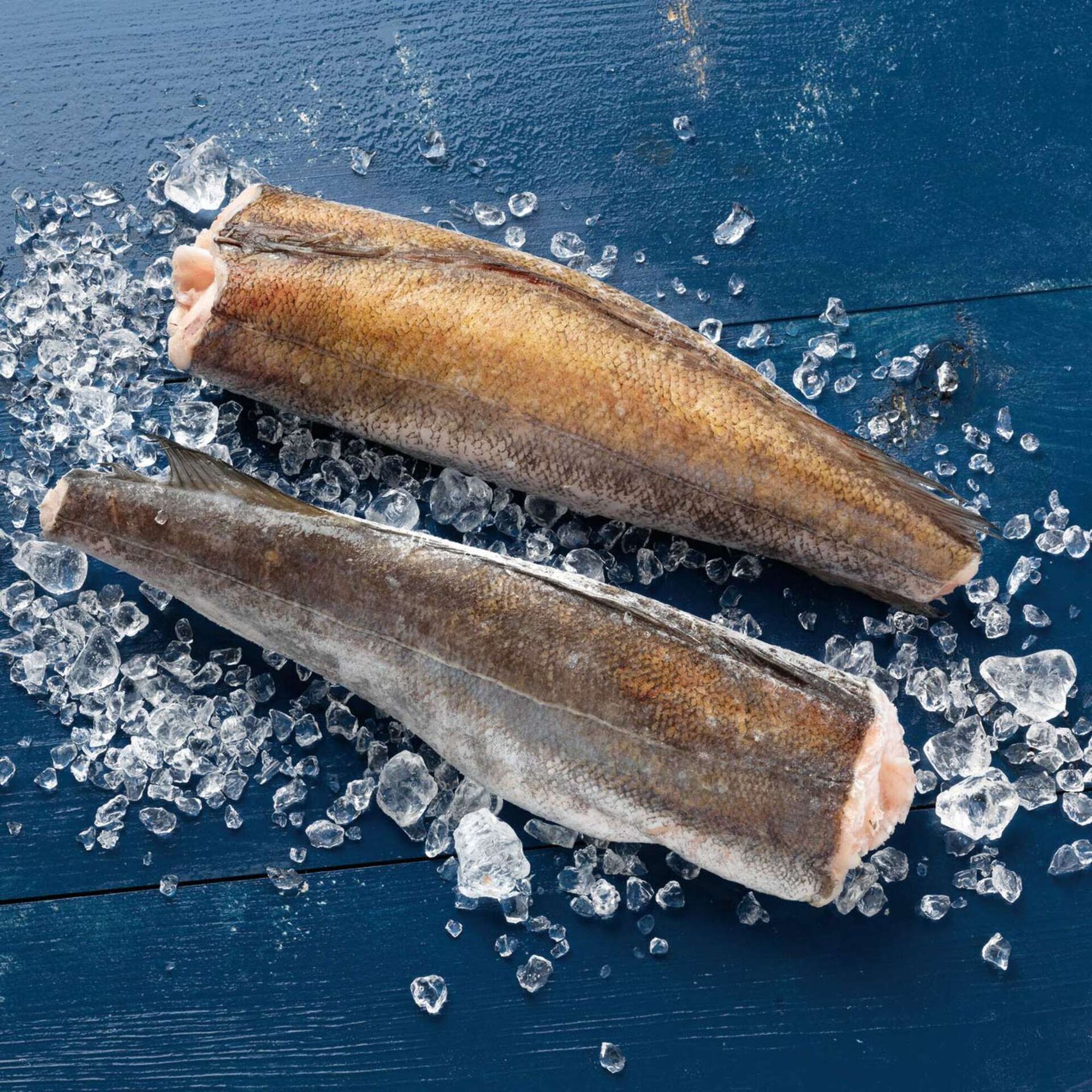 Pescada Grande da Argentina Congelada