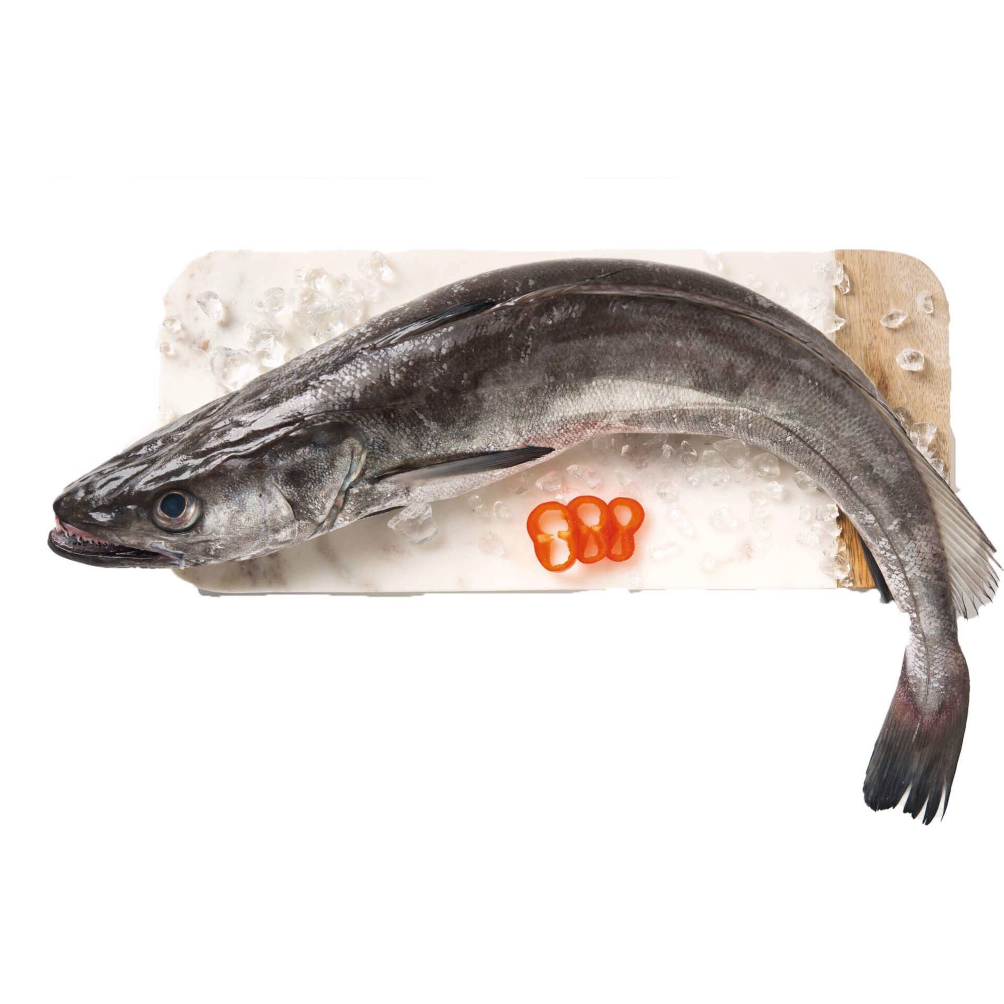 Pescada Grande Fresca