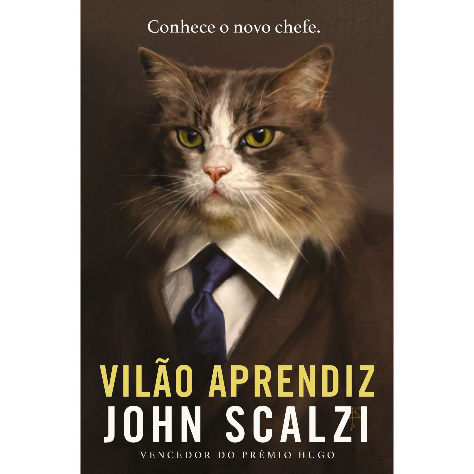 Vilão Aprendiz Vilão Aprendiz