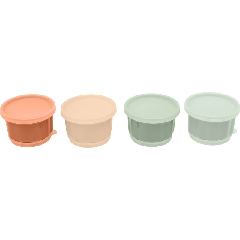 Conjunto 4 Formas para Gelatina Kasa