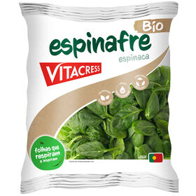 Espinafre Biológico