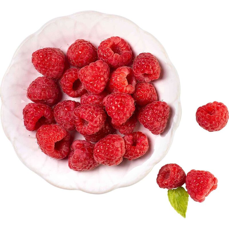 Framboesa Continente