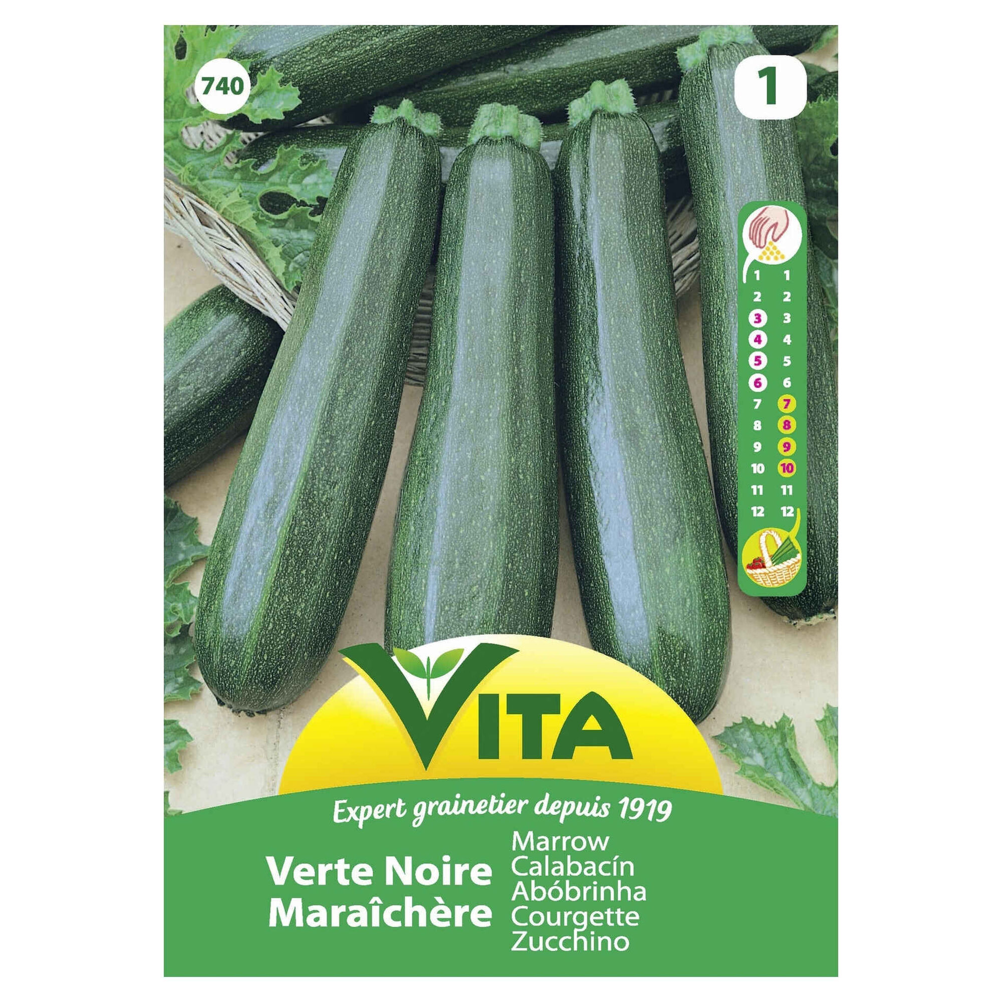 Sementes Hortícolas Curgete (Aboborinha)