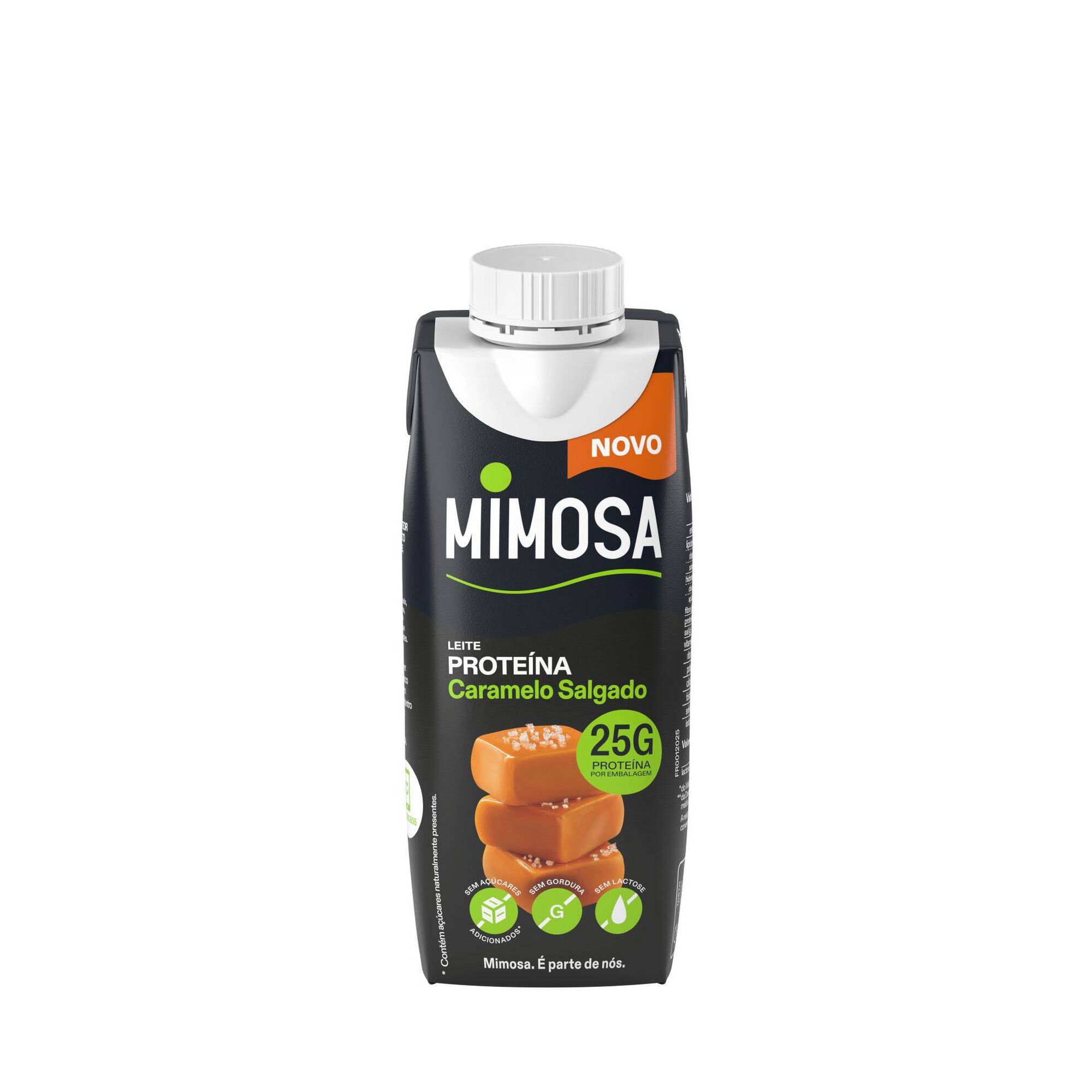 Leite de Proteína com Caramelo Salgado