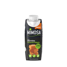 Leite de Proteína com Caramelo Salgado Leite de Proteína com Caramelo Salgado