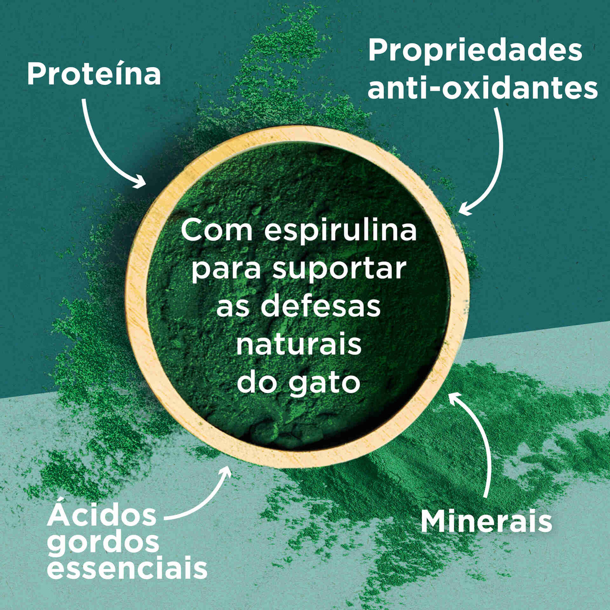 Ração para Gato Adulto Esterilizado Salmão