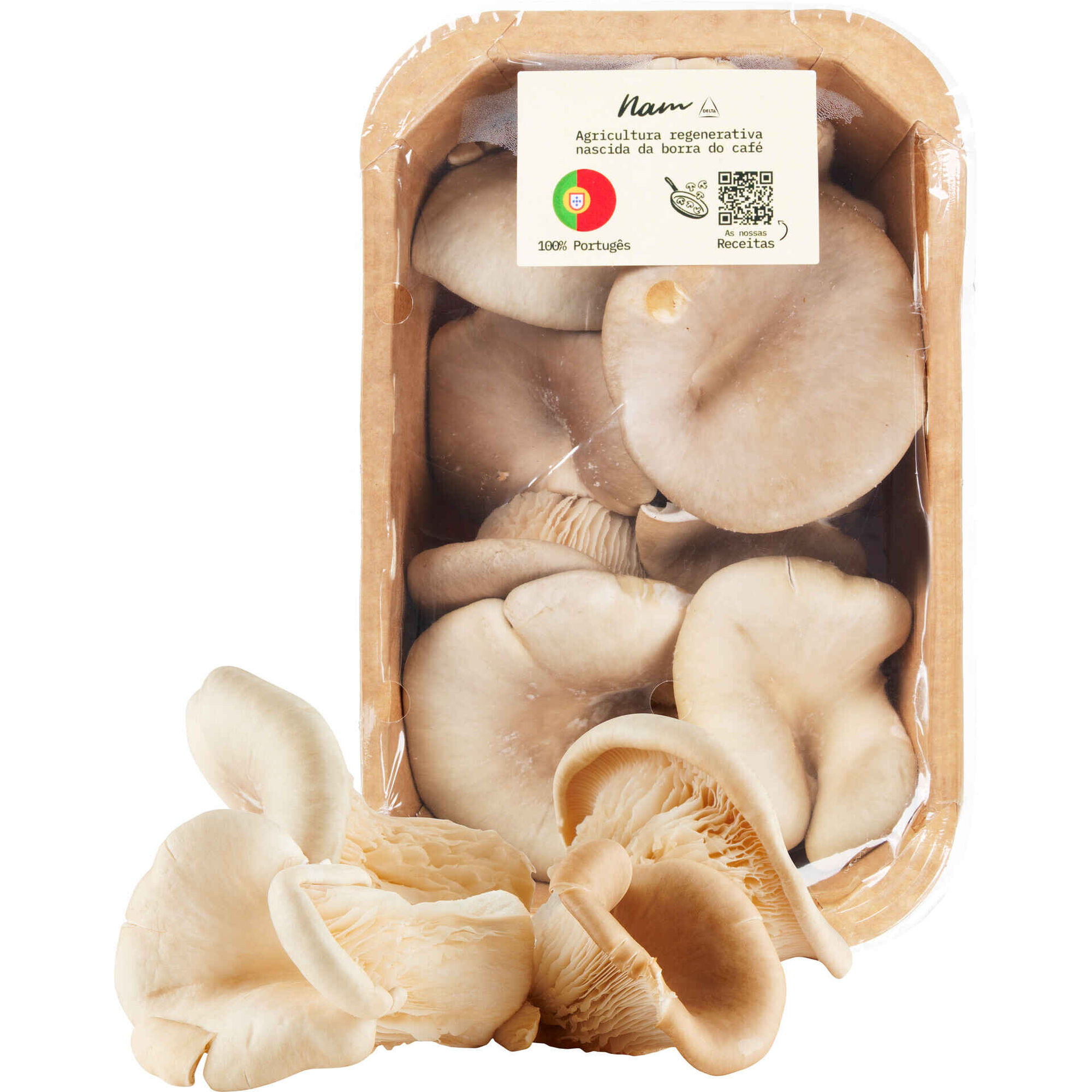 Cogumelo Pleurotus Nam