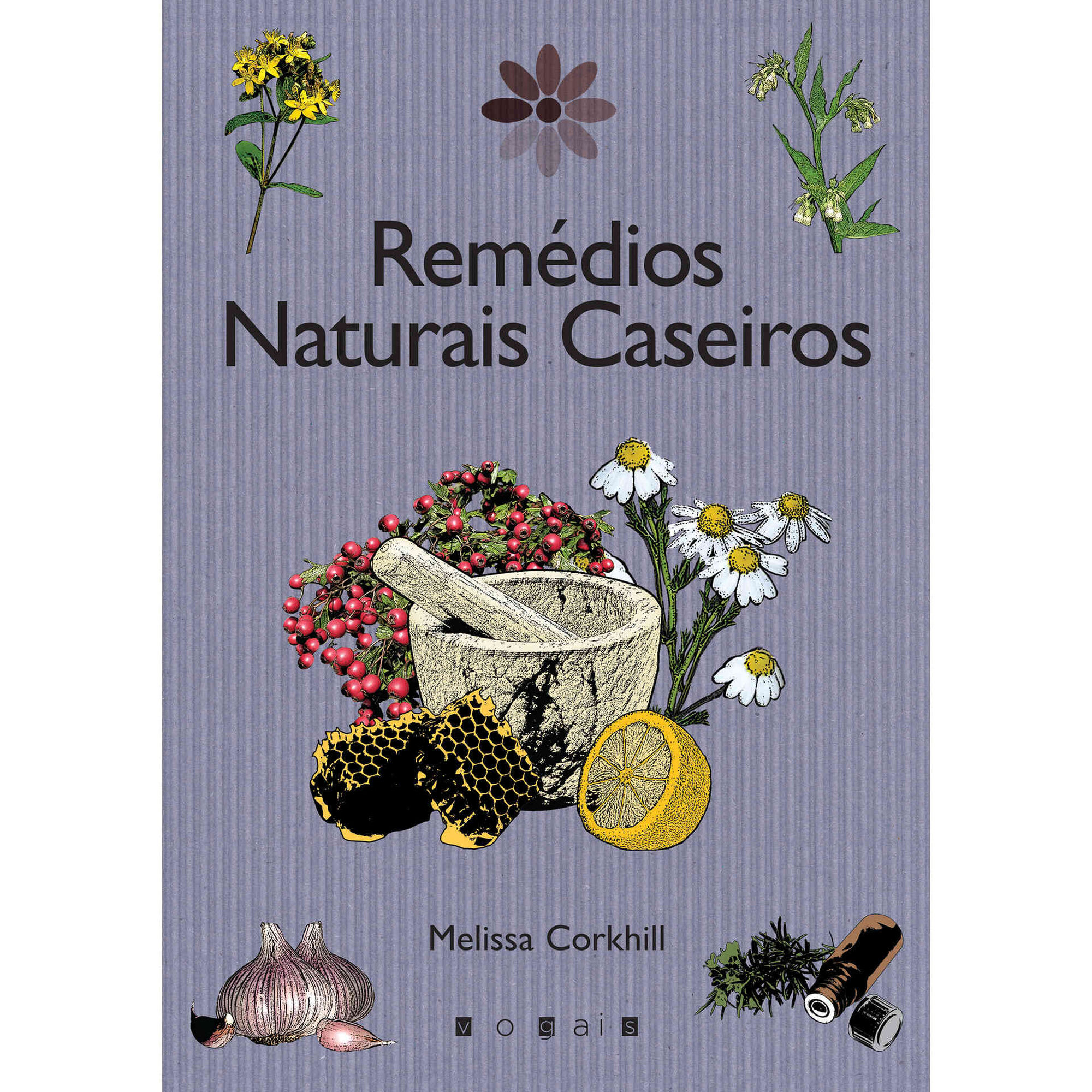 Rem&eacute;dios Naturais Caseiros
