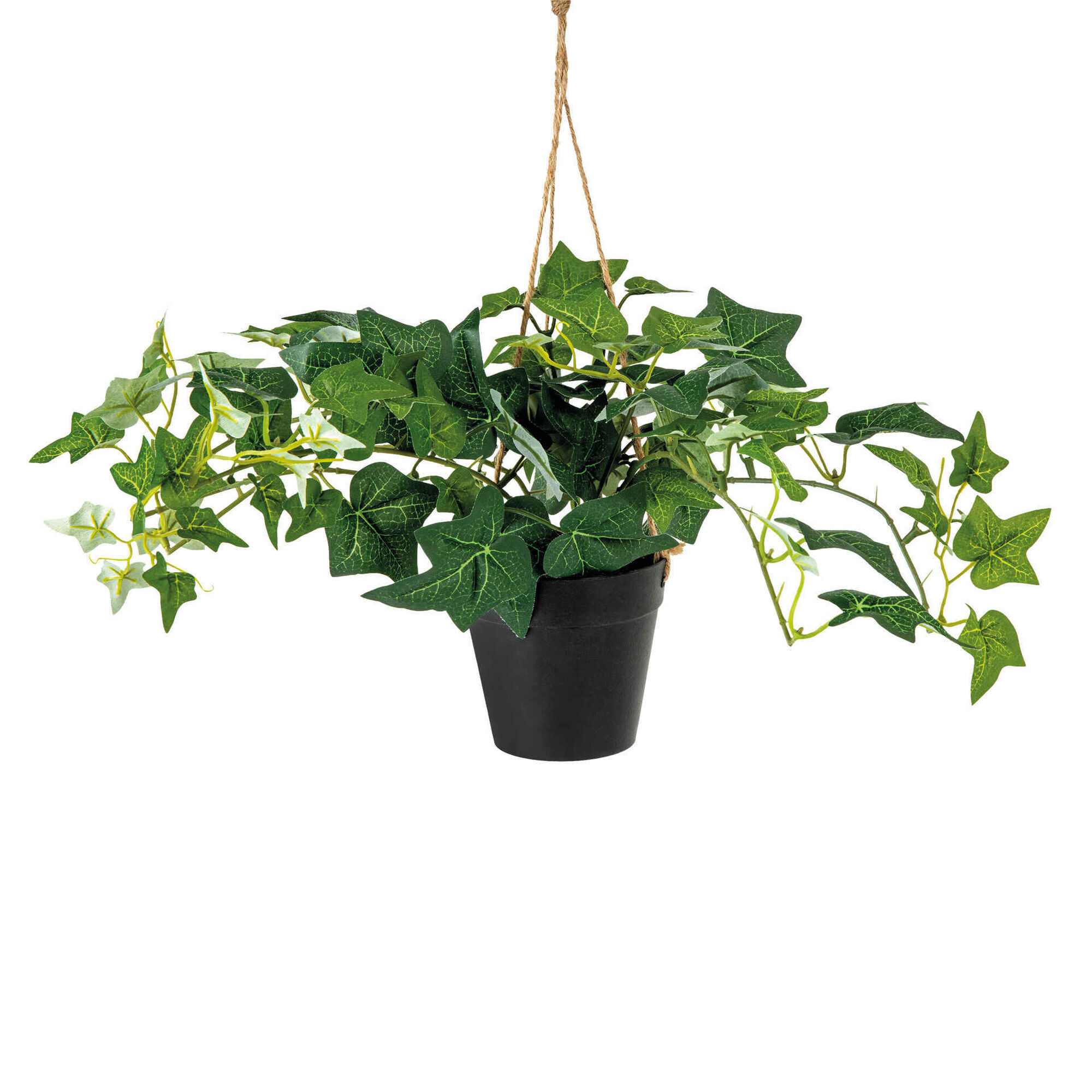 Planta Artificial Hera Comprida com Vaso Preto Planta Artificial Hera Comprida com Vaso Preto