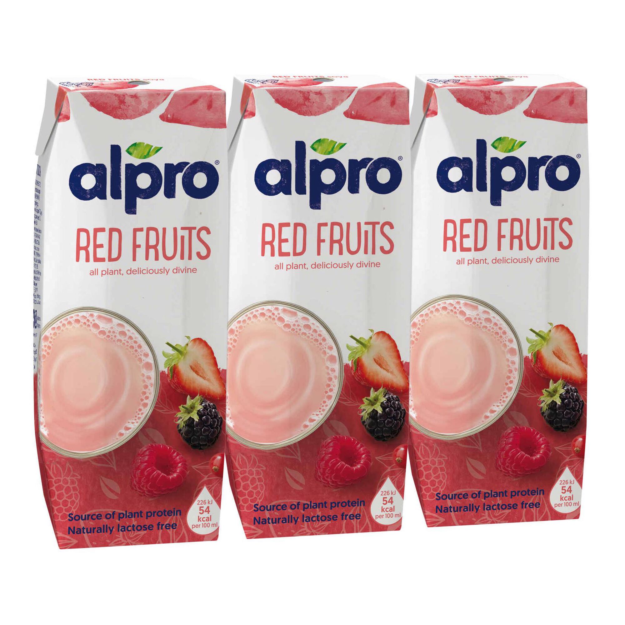 Bebida Vegetal de Soja Frutos Vermelhos Bebida Vegetal de Soja Frutos Vermelhos