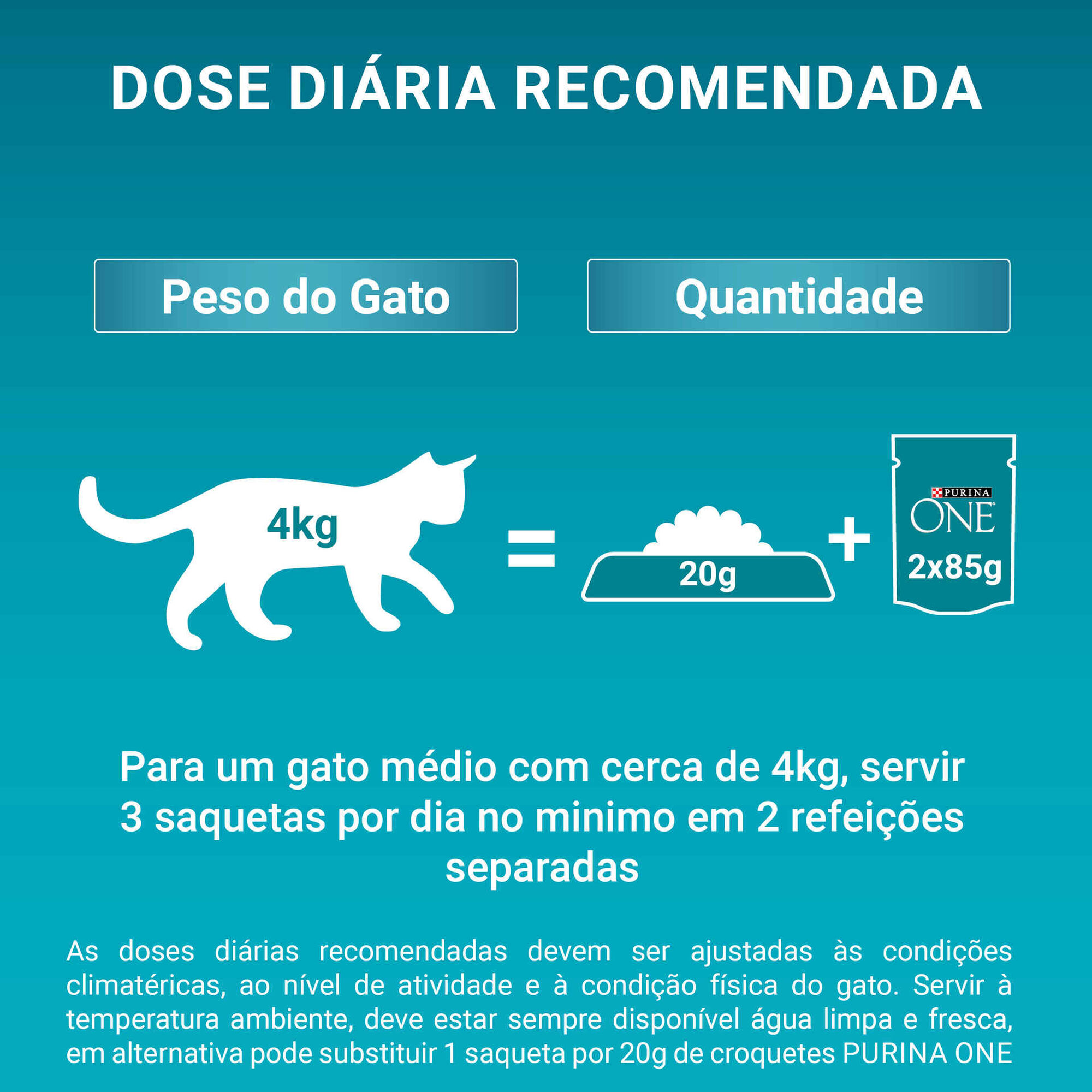 Ração para Gato Adulto Salmão