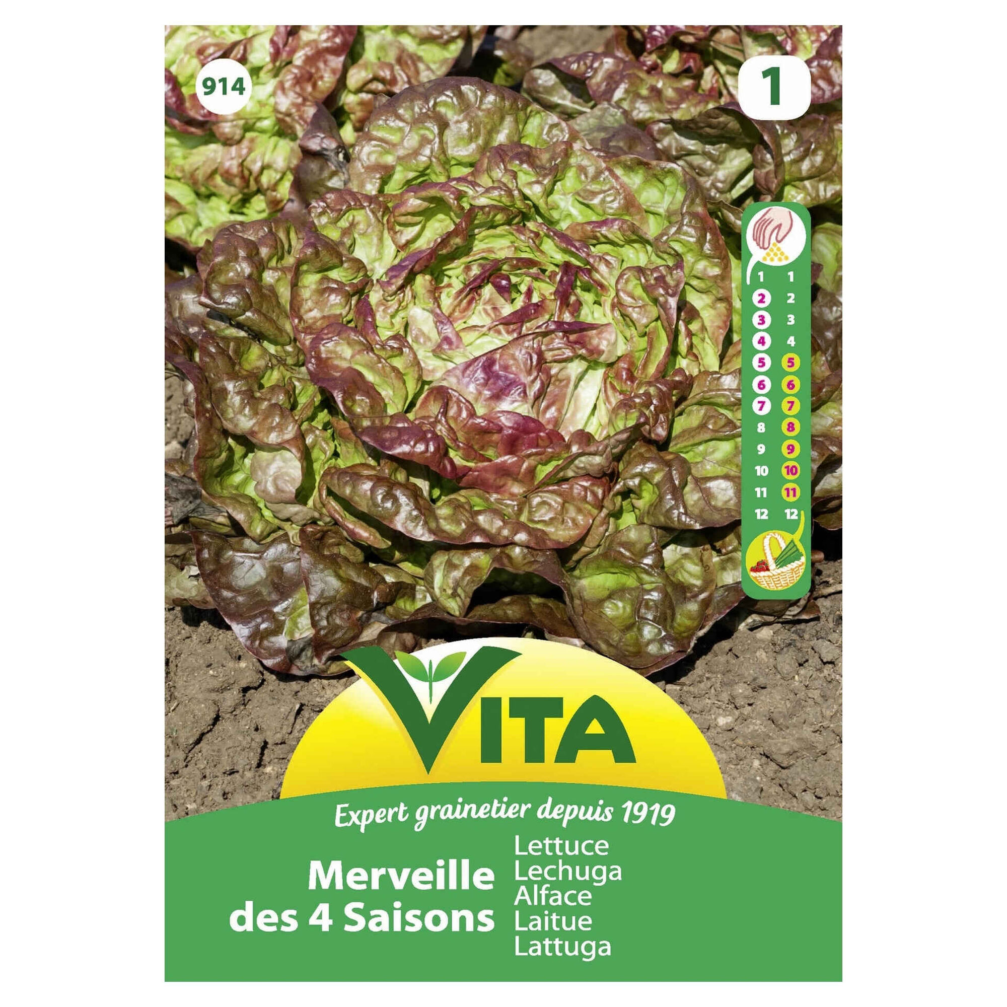 Sementes Hortícolas Alface Quatro Estações Sementes Hortícolas Alface Quatro Estações