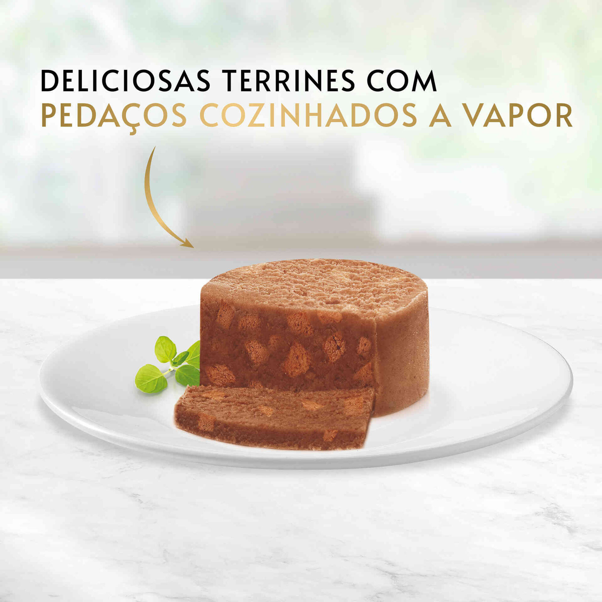 Comida H&uacute;mida para Gato Adulto Frango Terrina