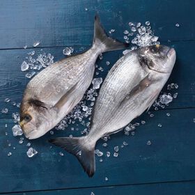 Dourada do Alto Mar Fresca