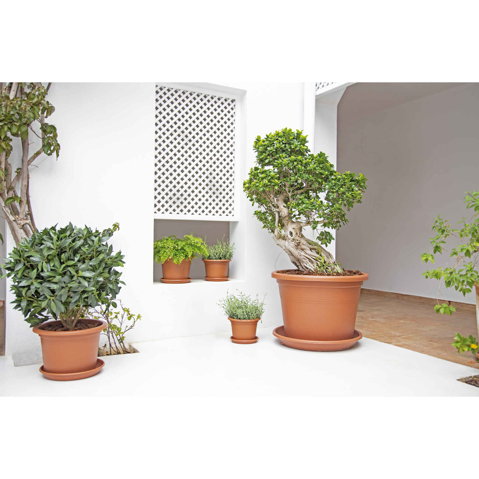 Vaso Redondo Plástico 20cm Terracota