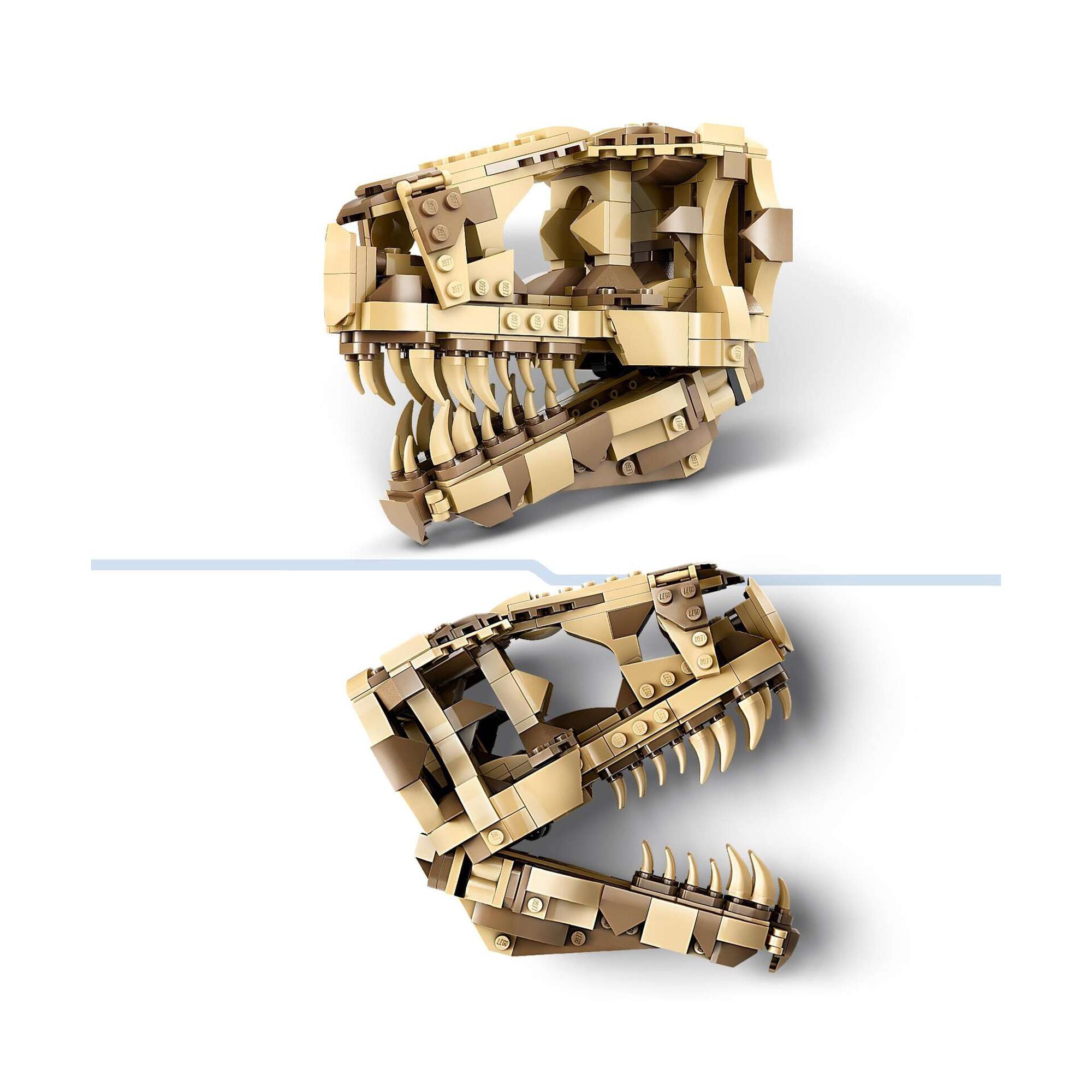 Fósseis de Dinossauros: T-Rex – Caveira - 76964