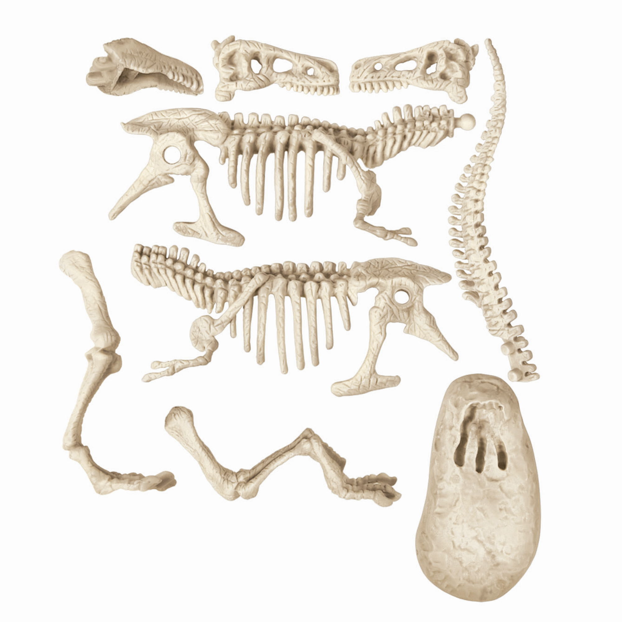 Kit Arqueologia - Tiranossauro Rex + Triceratops