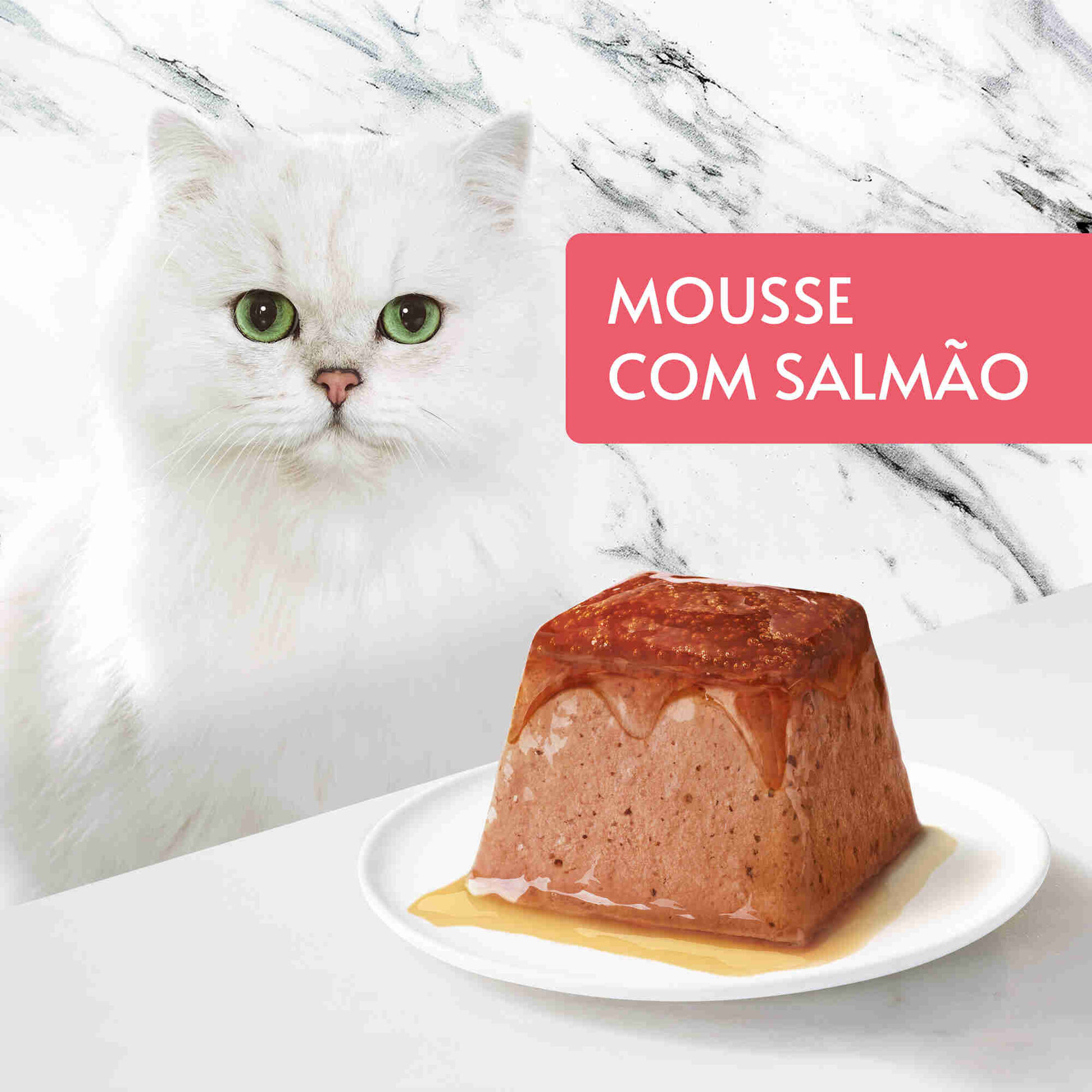 Comida Húmida para Gato Adulto Revelations Mousse Salmão Terrina Comida Húmida para Gato Adulto Revelations Mousse Salmão Terrina