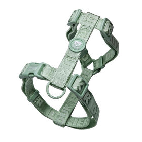 Arn&ecirc;s para C&atilde;o Essentials Soft Green S Dukier