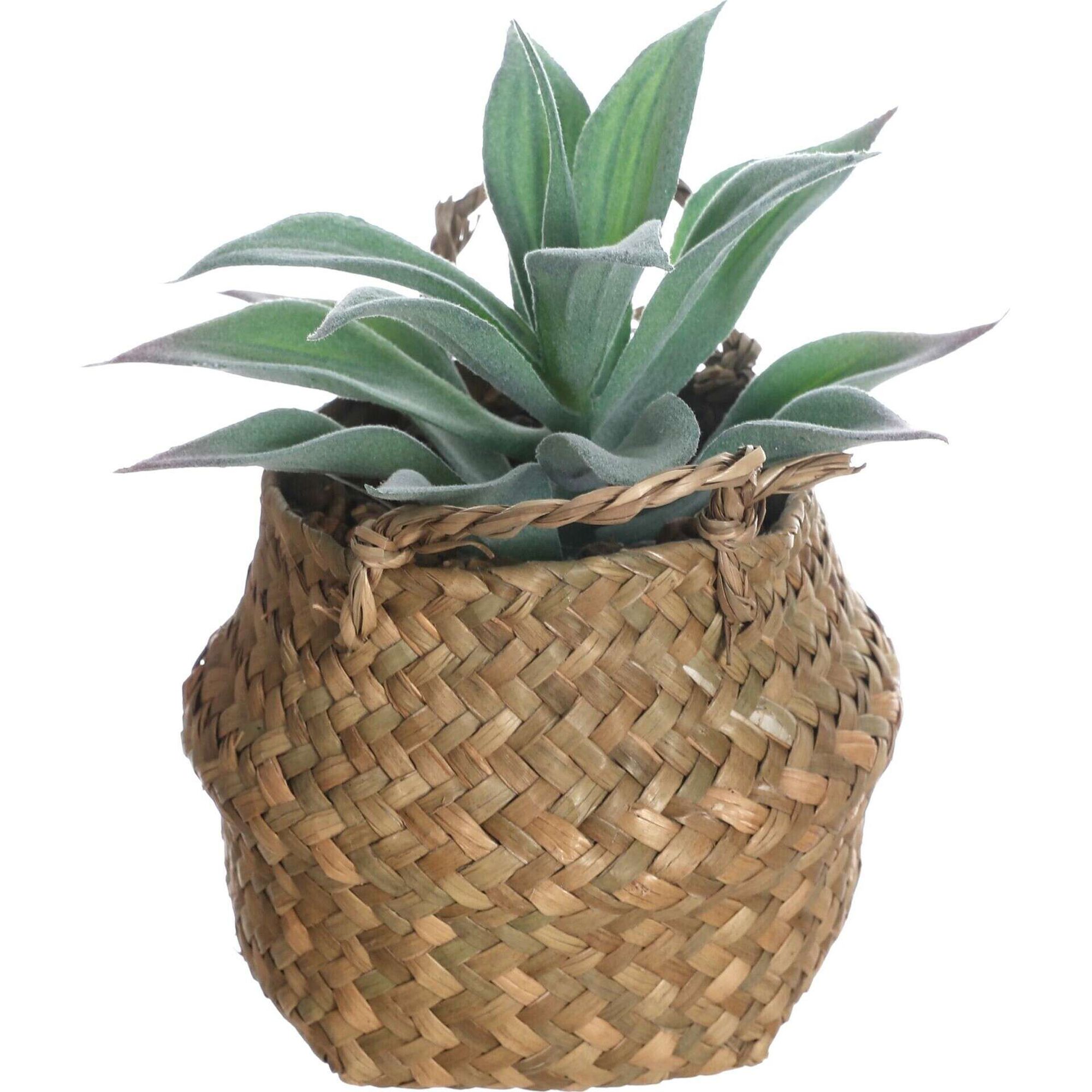 Planta Artificial Suculenta com Cesto com Asas