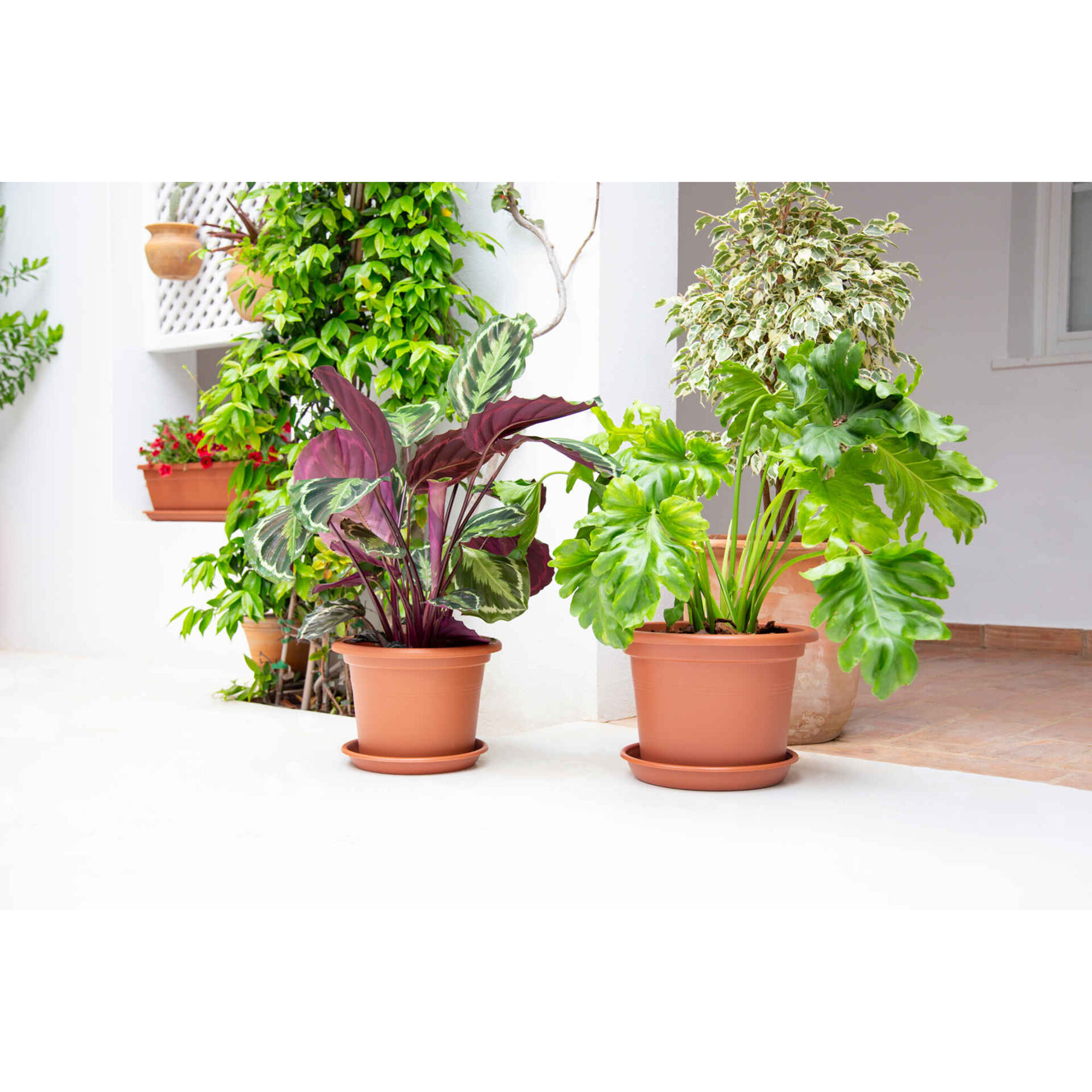 Prato Redondo Plástico 26cm Terracota