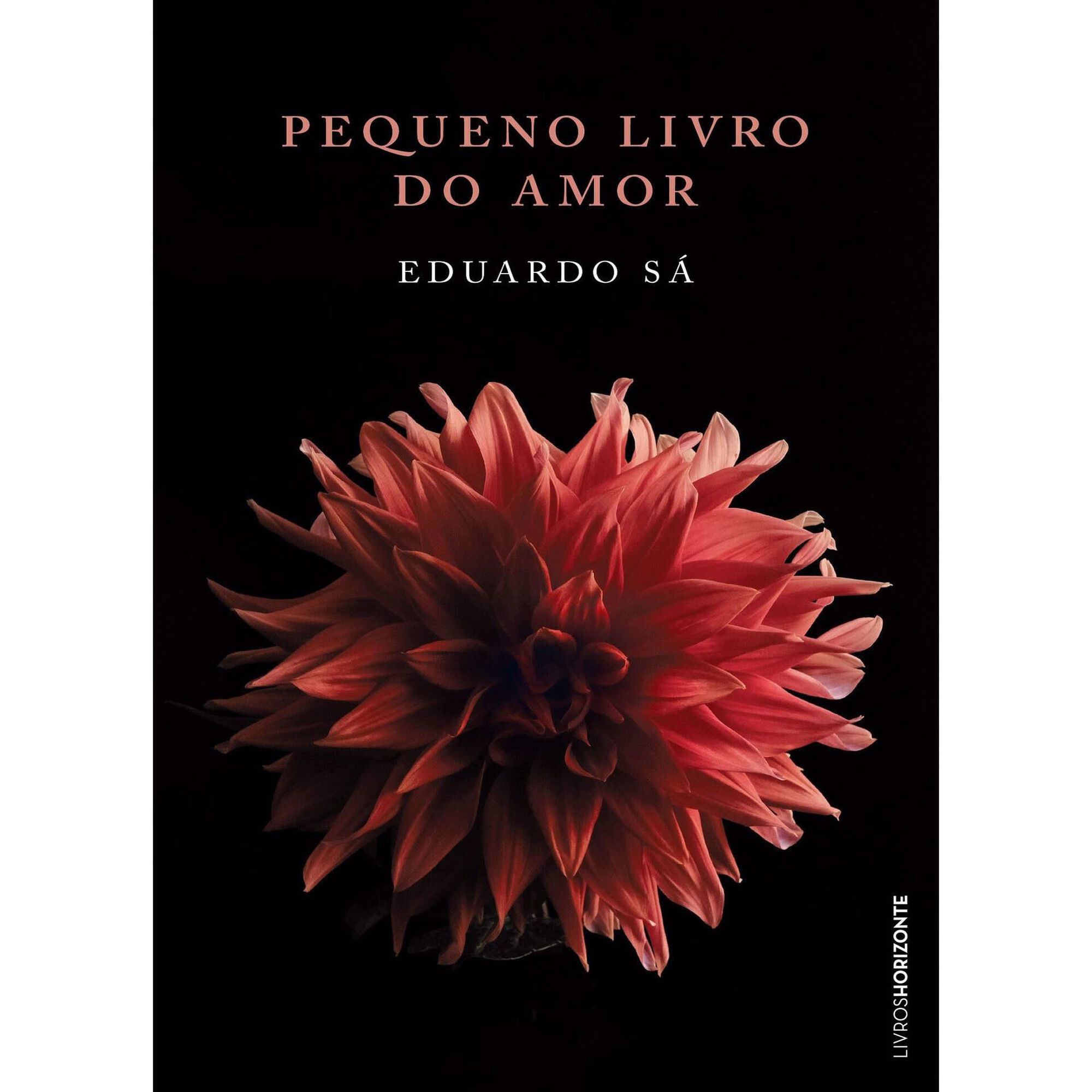 Pequeno Livro do Amor