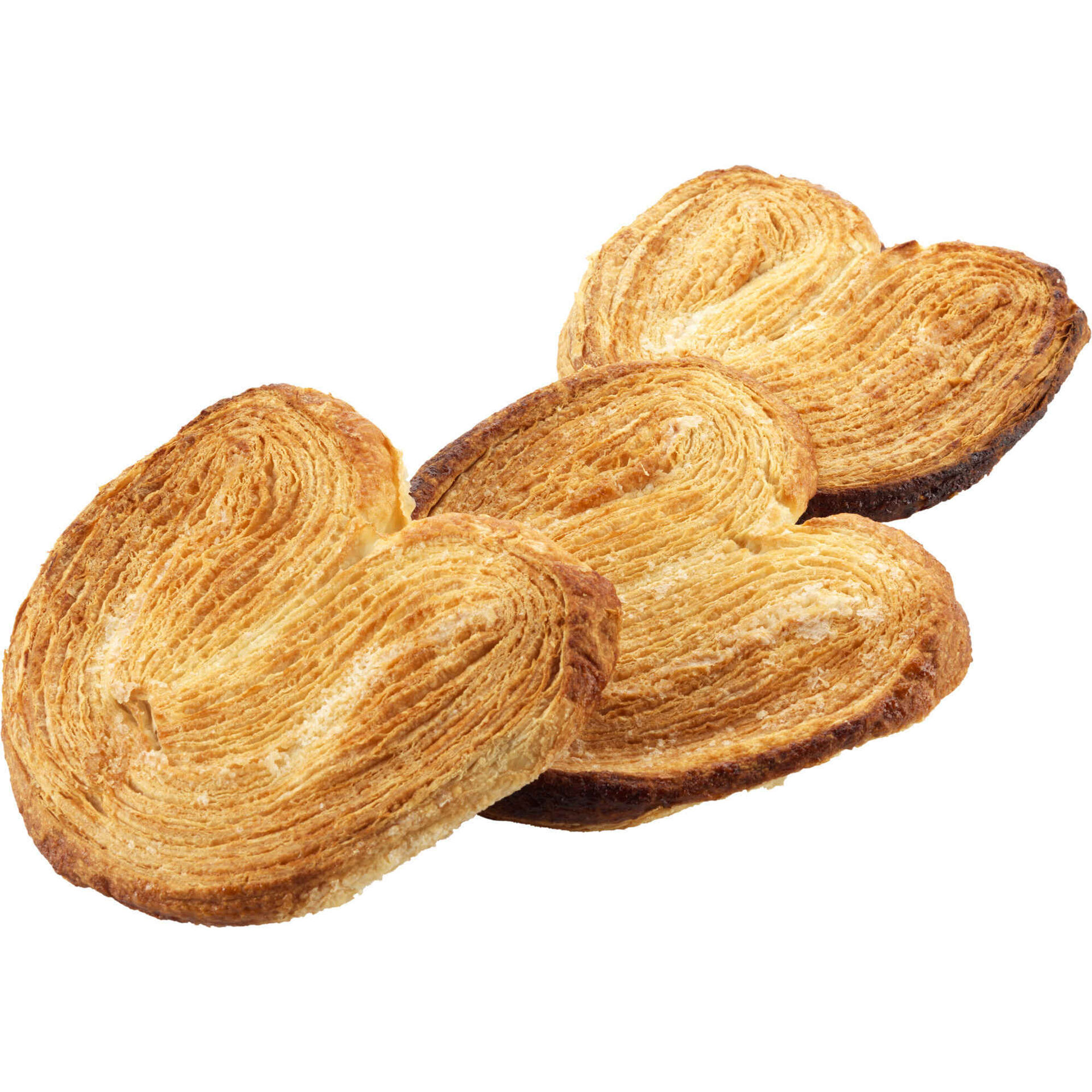 Palmier XL