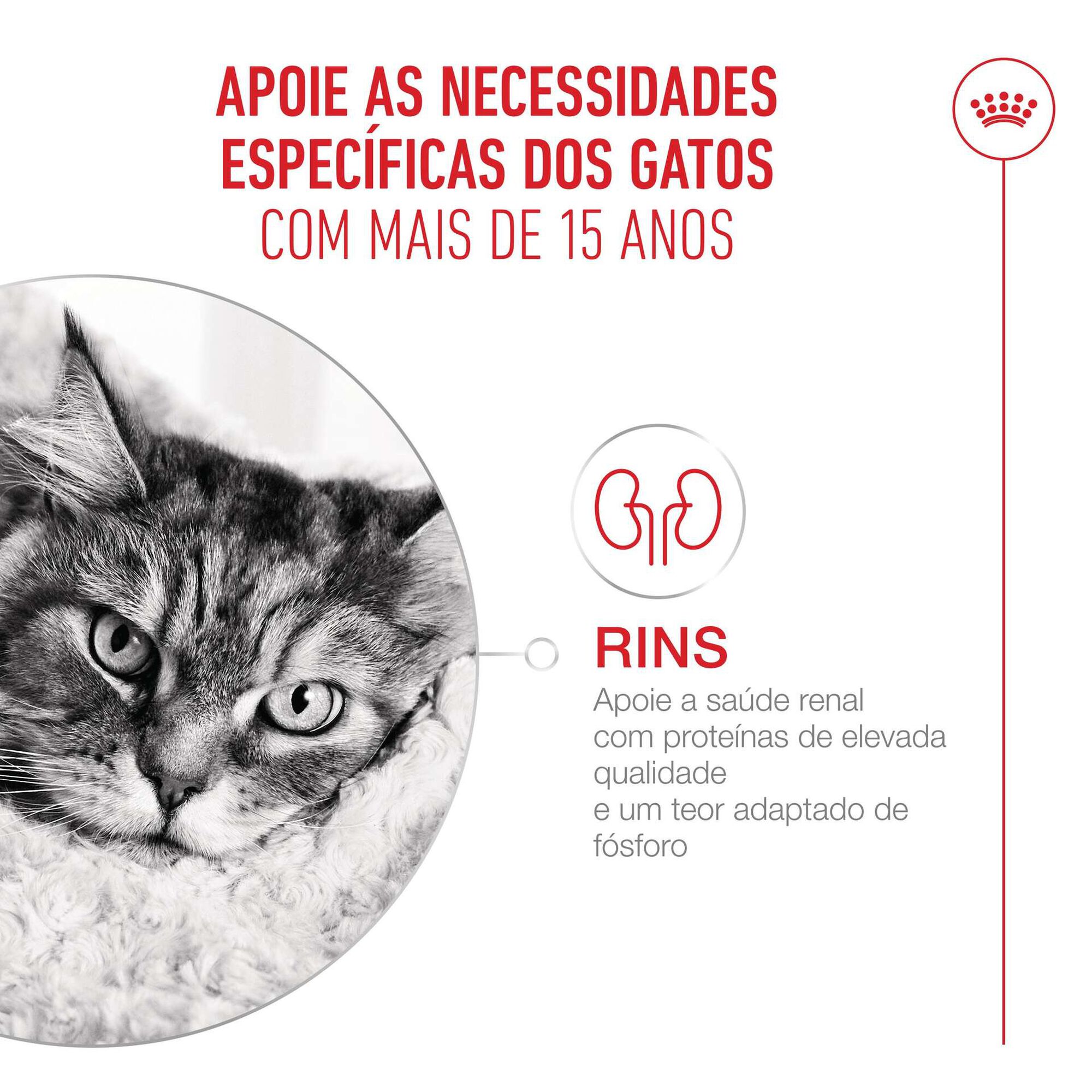 Ra&ccedil;&atilde;o para Gato S&eacute;nior Ageing+15 Royal Canin