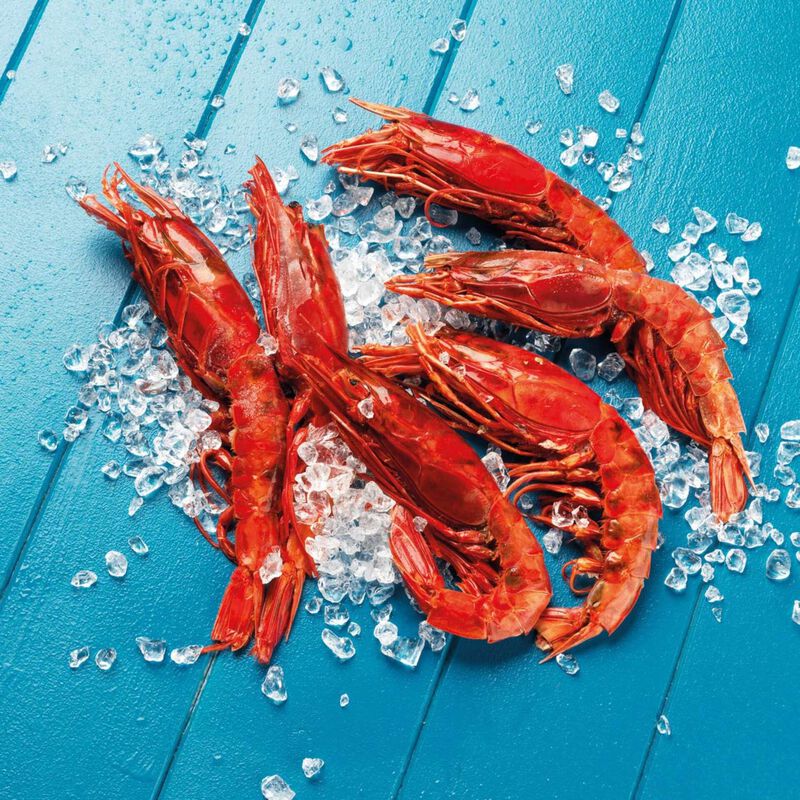 Carabineiro de Moçambique Congelado