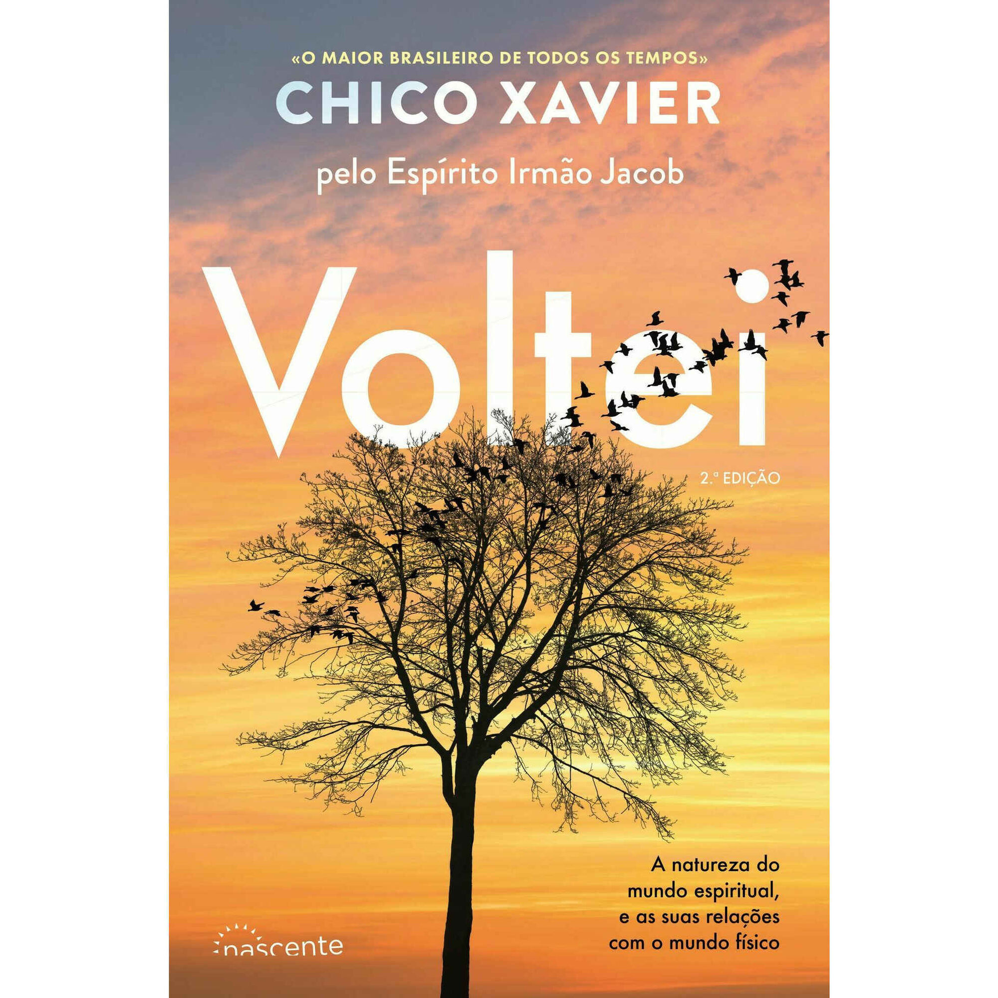 Voltei Voltei