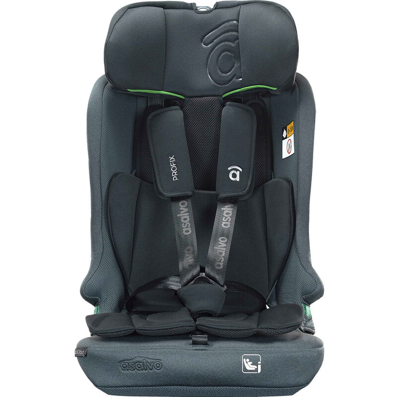 Cadeira Auto I-Size 76-150cm Isofix Cinza Profix Asalvo