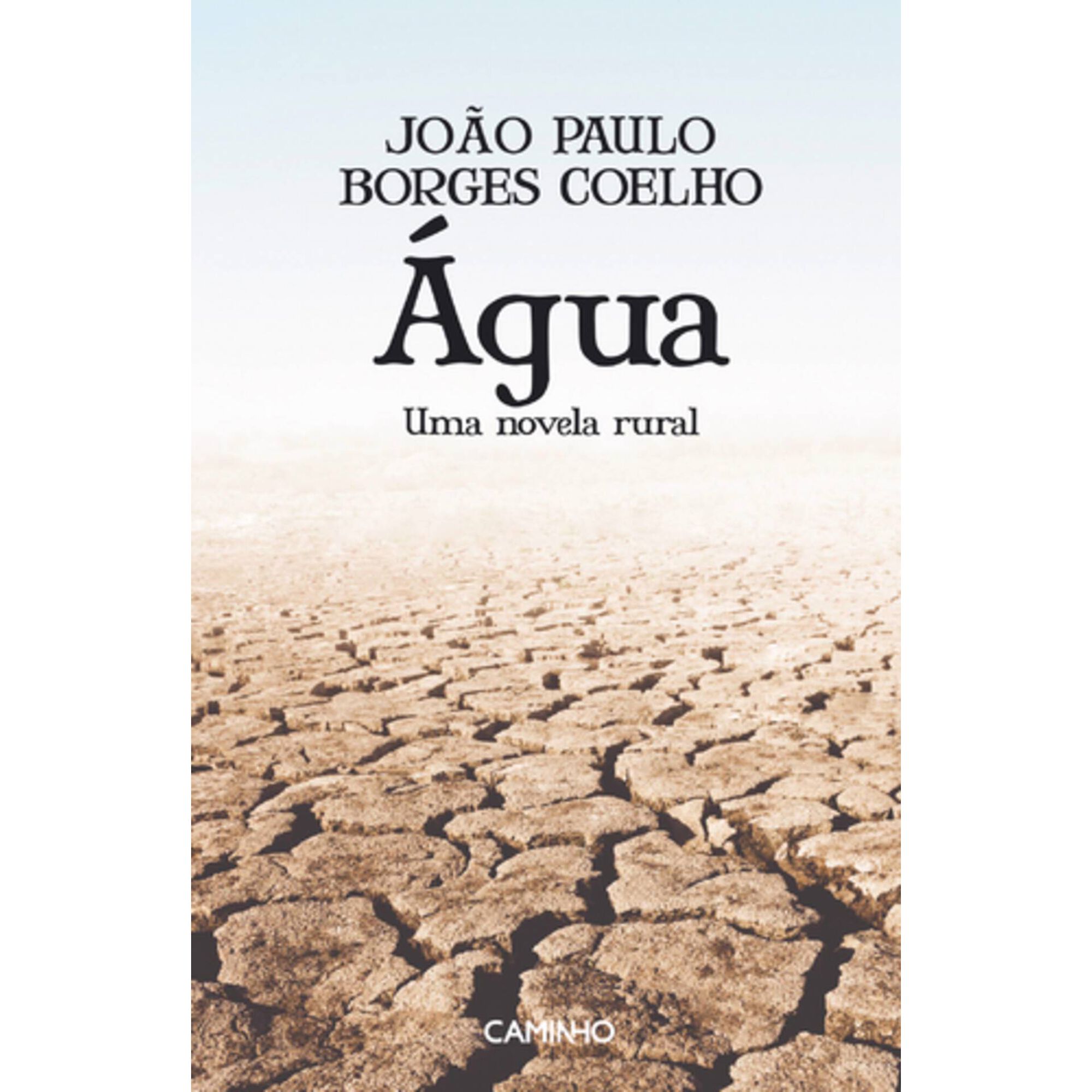 &Aacute;gua - Uma novela rural de Jo&atilde;o Paulo Borges Coelho