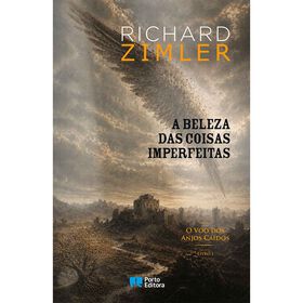 A Beleza das Coisas Imperfeitas de Richard Zimler