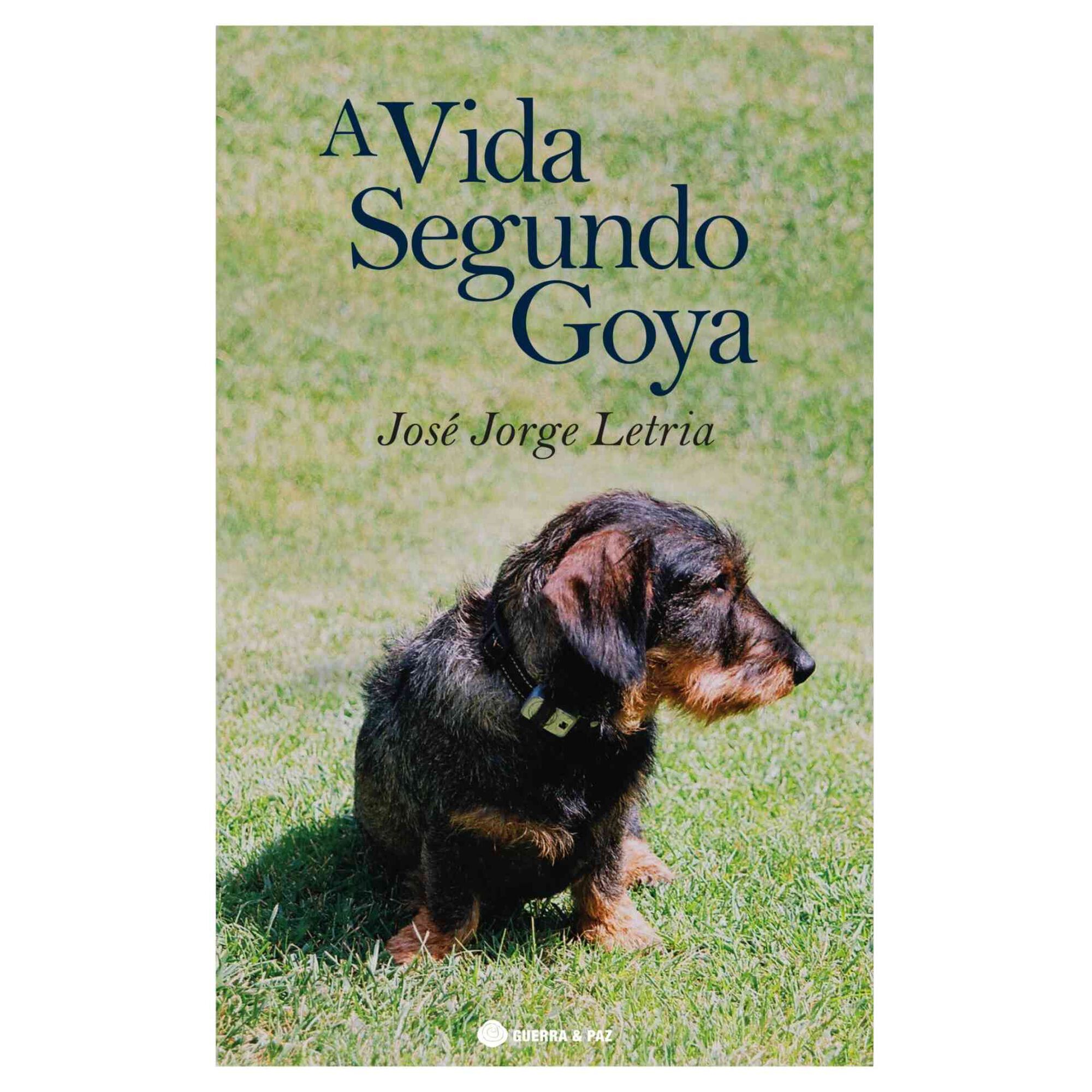A Vida Segundo Goya de Jos&eacute; Jorge Letria
